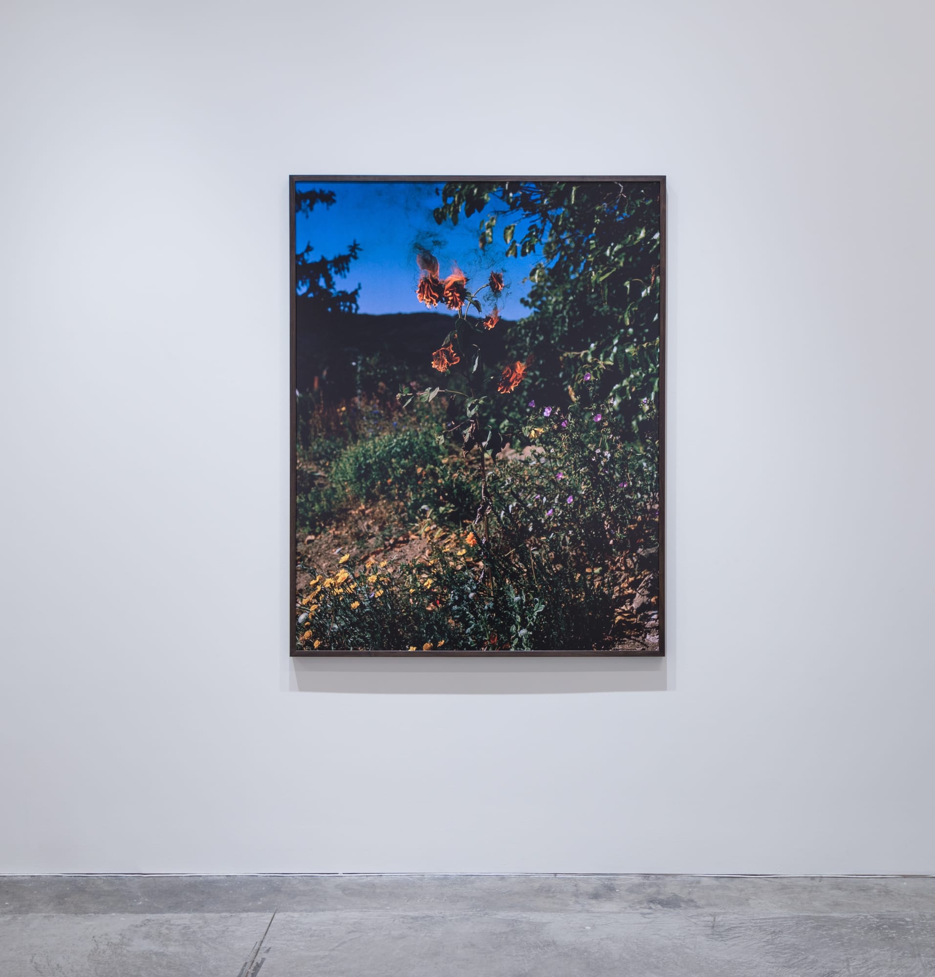 Viviane Sassen Pikin Slee & Elspeth Diederix In These Shadows