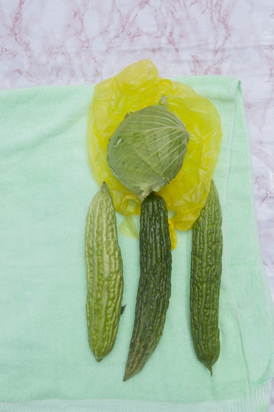 Viviane Sassen Pikin Slee & Elspeth Diederix In These Shadows