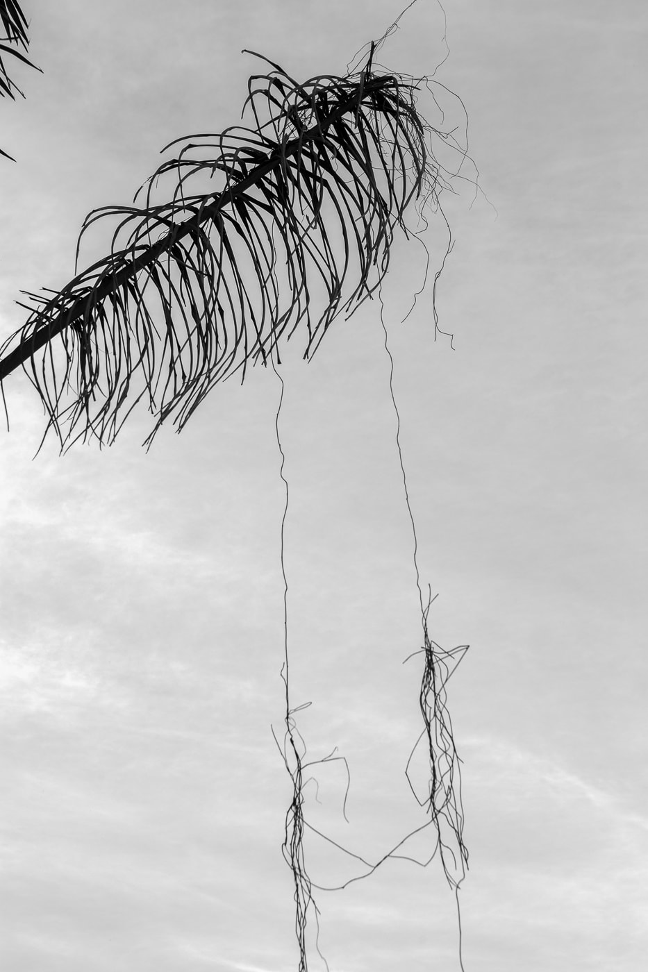 Viviane Sassen Pikin Slee & Elspeth Diederix In These Shadows