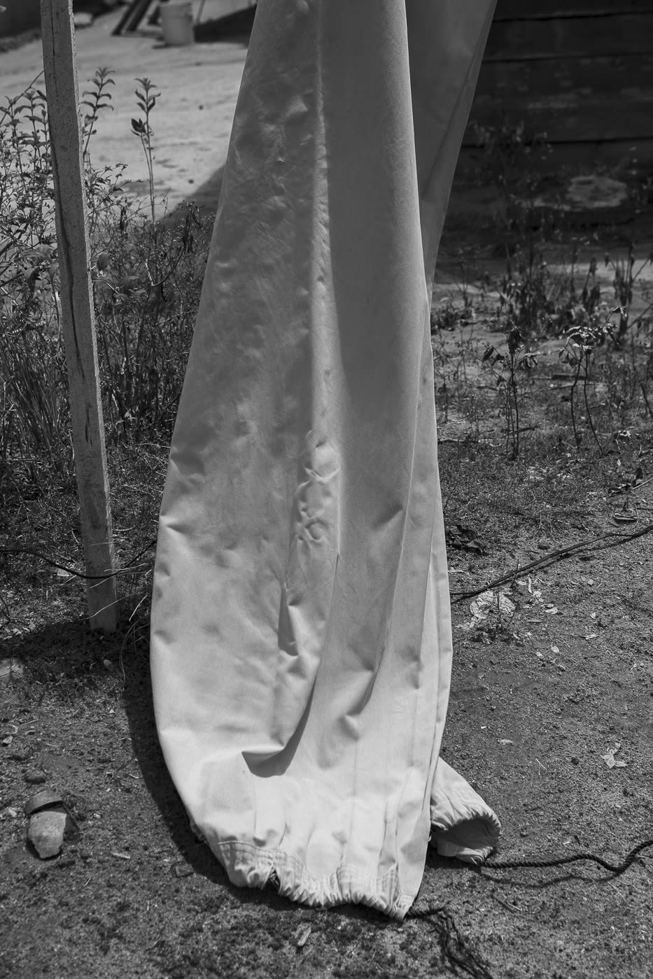 Viviane Sassen Pikin Slee & Elspeth Diederix In These Shadows