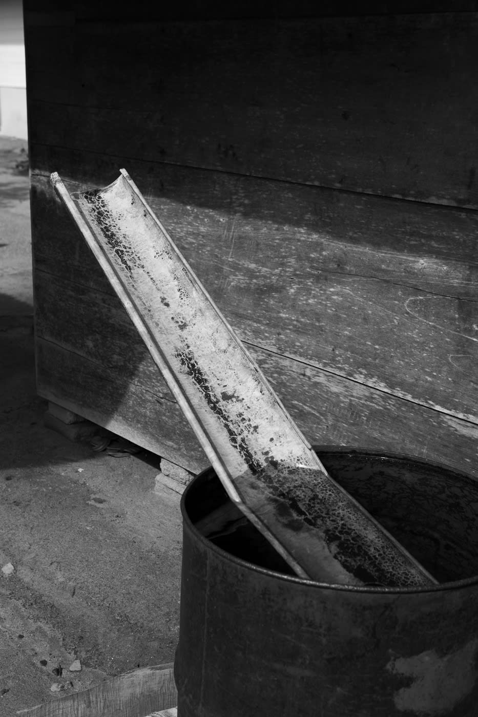 Viviane Sassen Pikin Slee & Elspeth Diederix In These Shadows