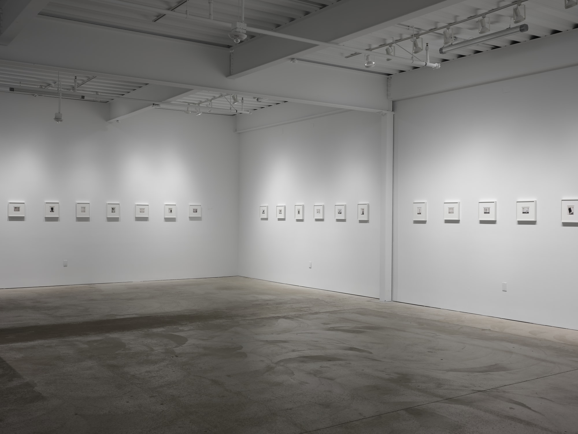 Polaroids: Steve Kahn (1974-77)