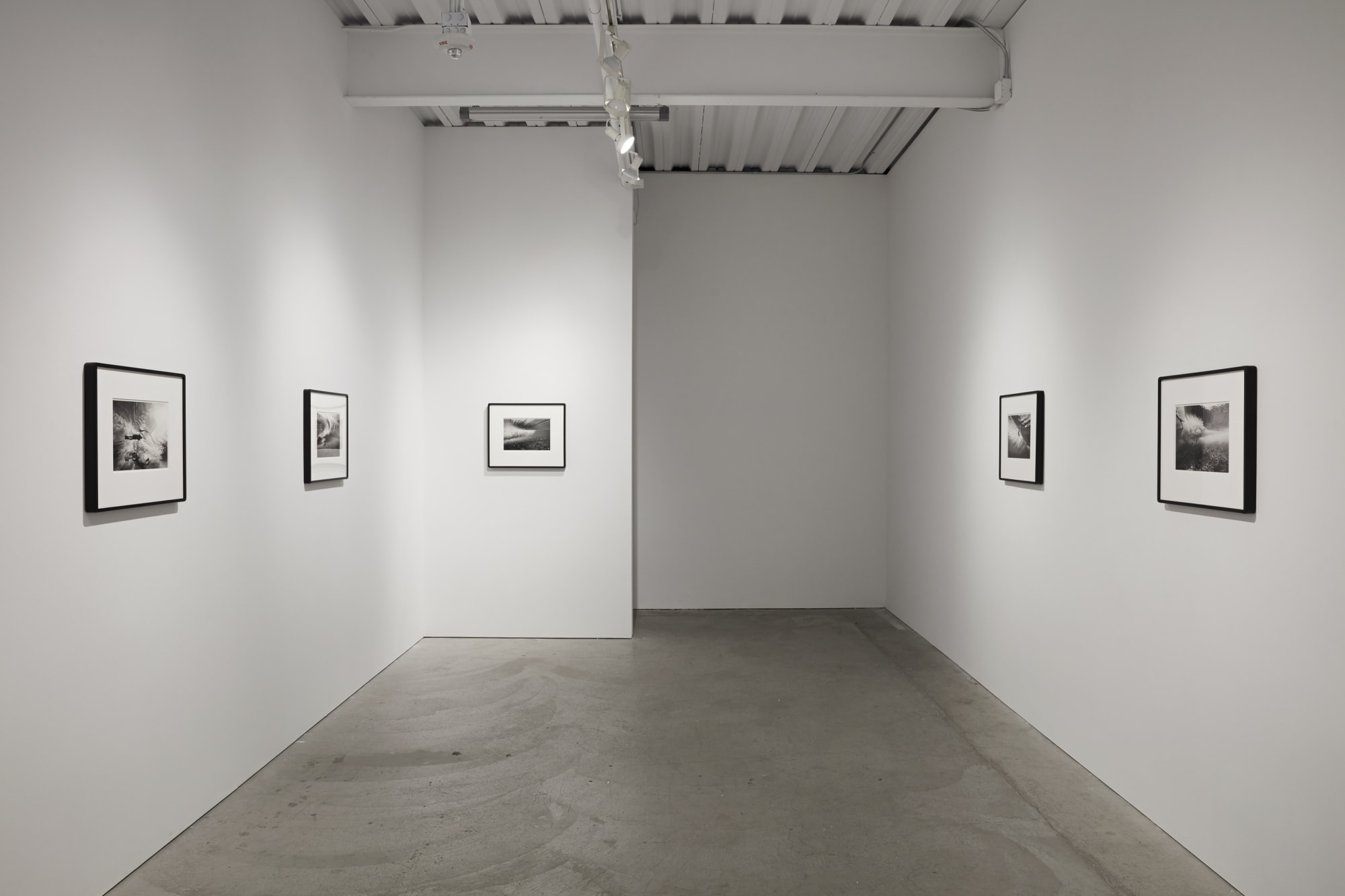 Kanoa Zimmerman: Free Dive