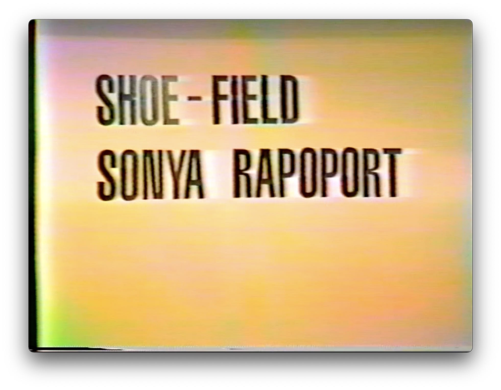 Sonya Rapoport: Force Fields