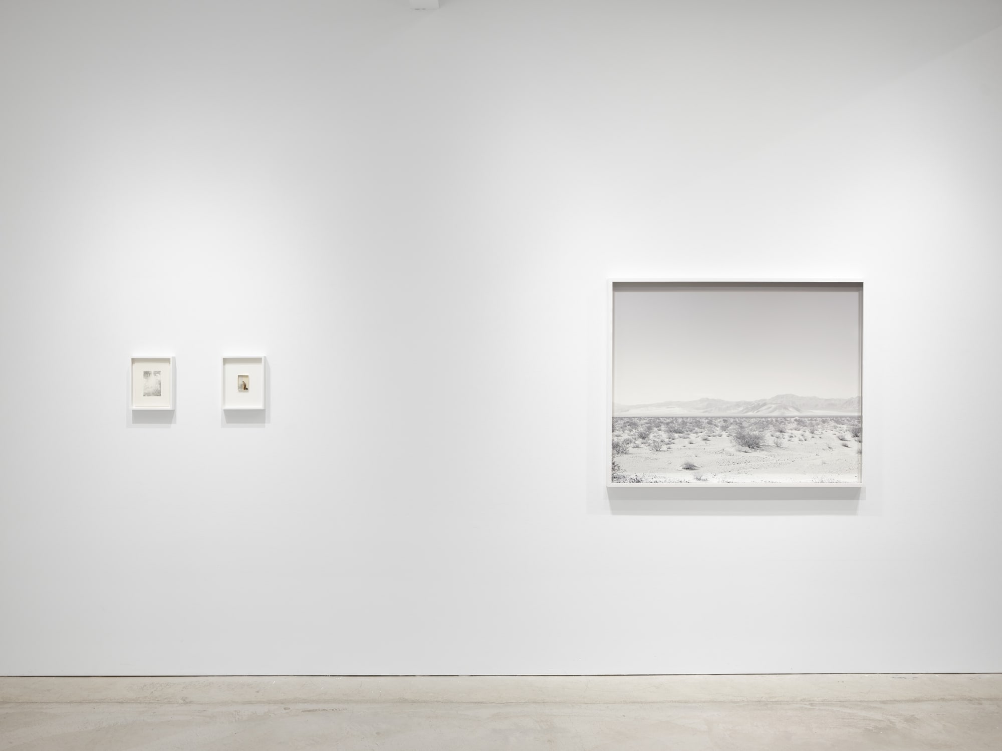 Sean McFarland: Alluvial Fan, Strange Attractor