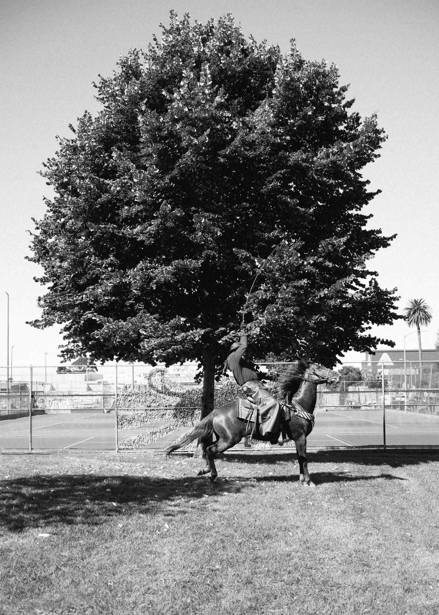Devynn Barnes Untitled, Oakland Black Cowboy Parade, 2023 Inkjet print 8 x 10 inches (20.32 x 25.4 cm) framed