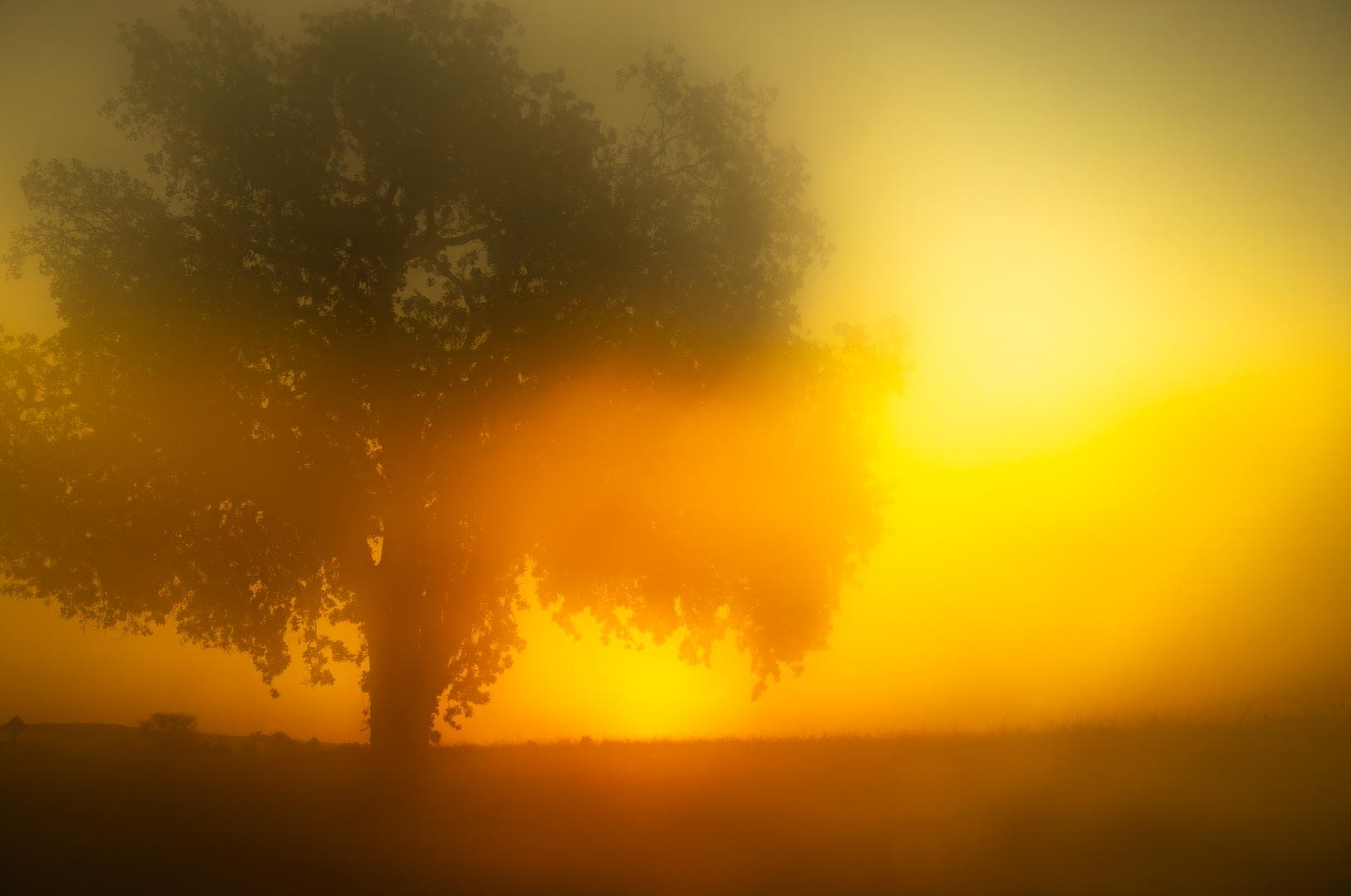 Untitled #12076-9421, 2020, archival pigment print, 30 x 45 inches