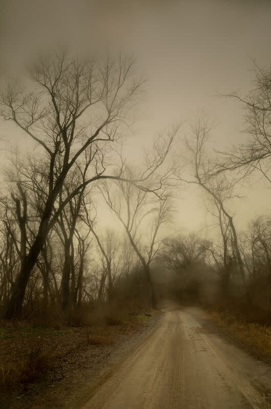 Untitled #12081-2383, 2022, archival pigment print, 38 x 57 inches