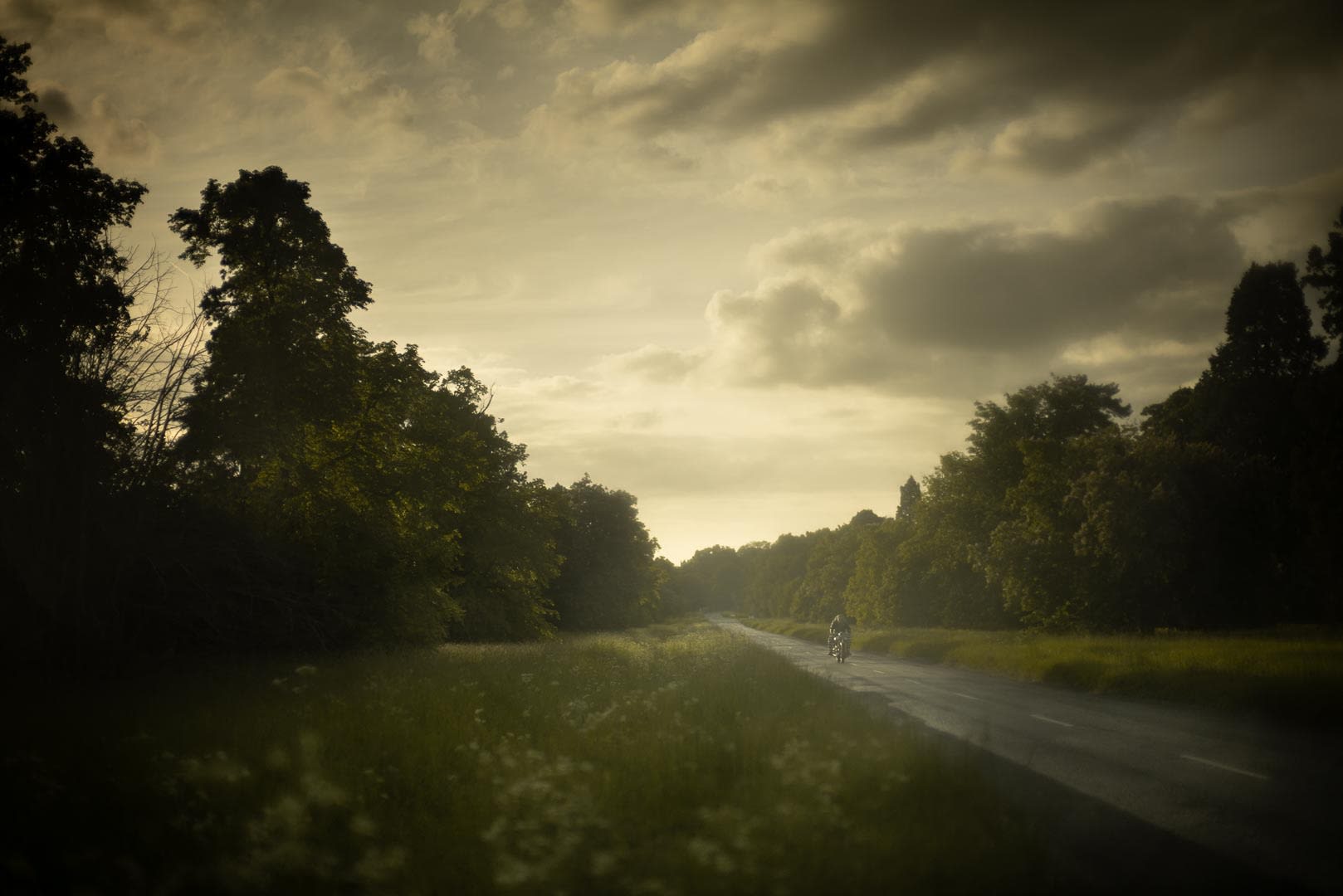 Untitled #12100-1010344, archival pigment print, 11 x 17 inches