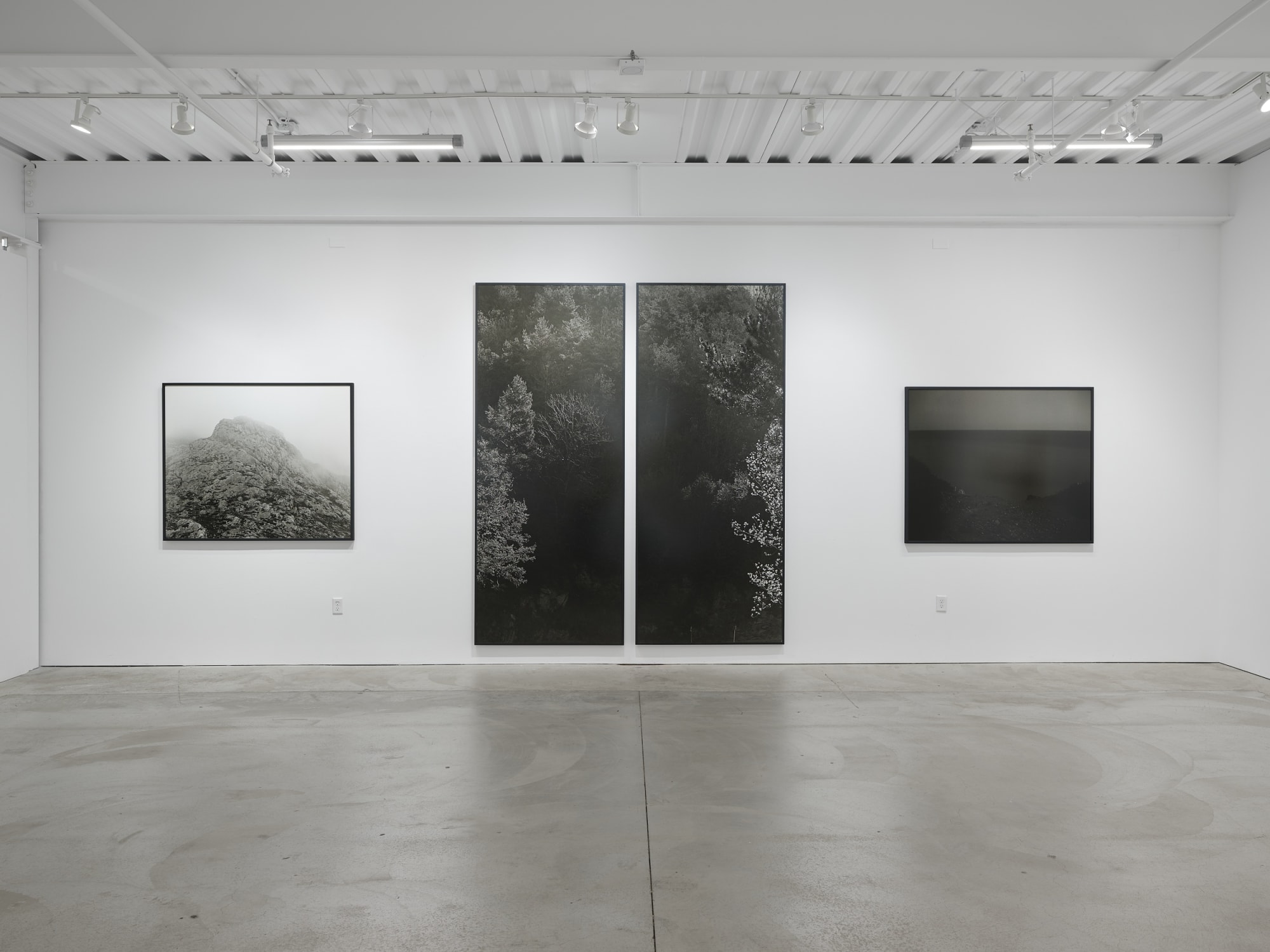 Mercy, Give and Take