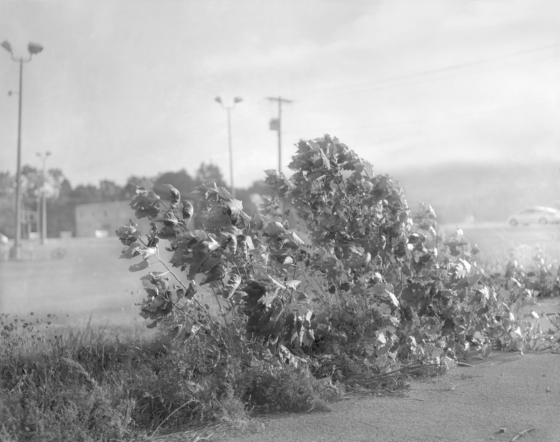 Raymond Meeks Halfstory #955 Canajaharie NY 2016, 2019 Carbon pigment print 33 x 45 in. (framed)