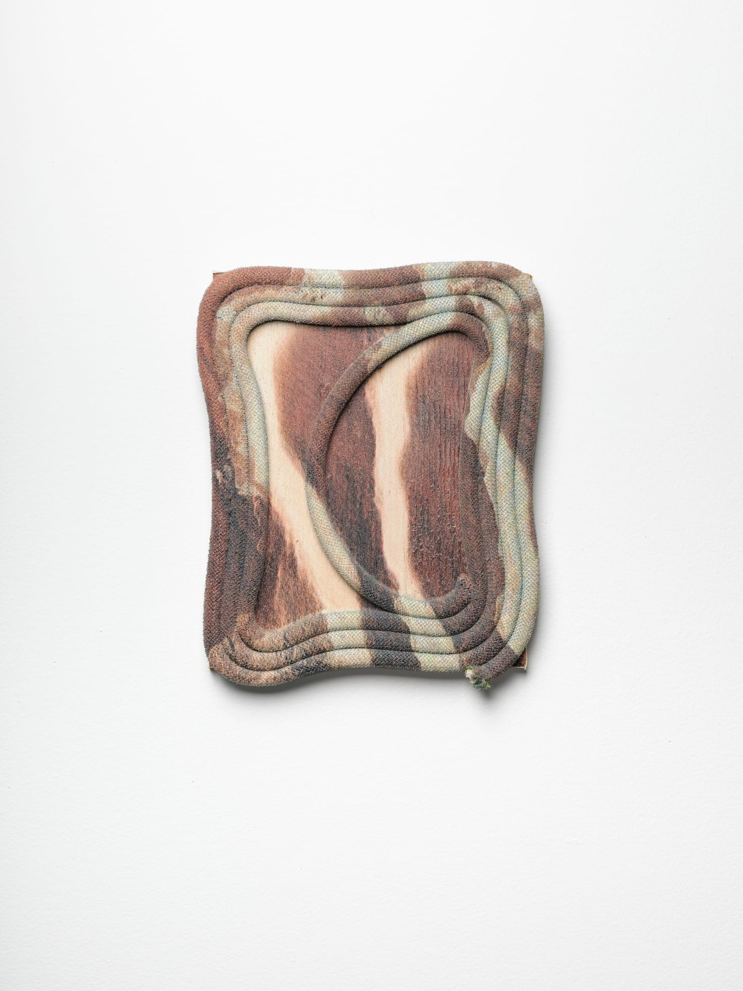 Cole Barash Primal Existance, 2025 Repurposed climbing rope, UV ink, wood panel 4⅜ x 3½ x ⅜ in. 11.00 x 8.75 x 1.00 cm