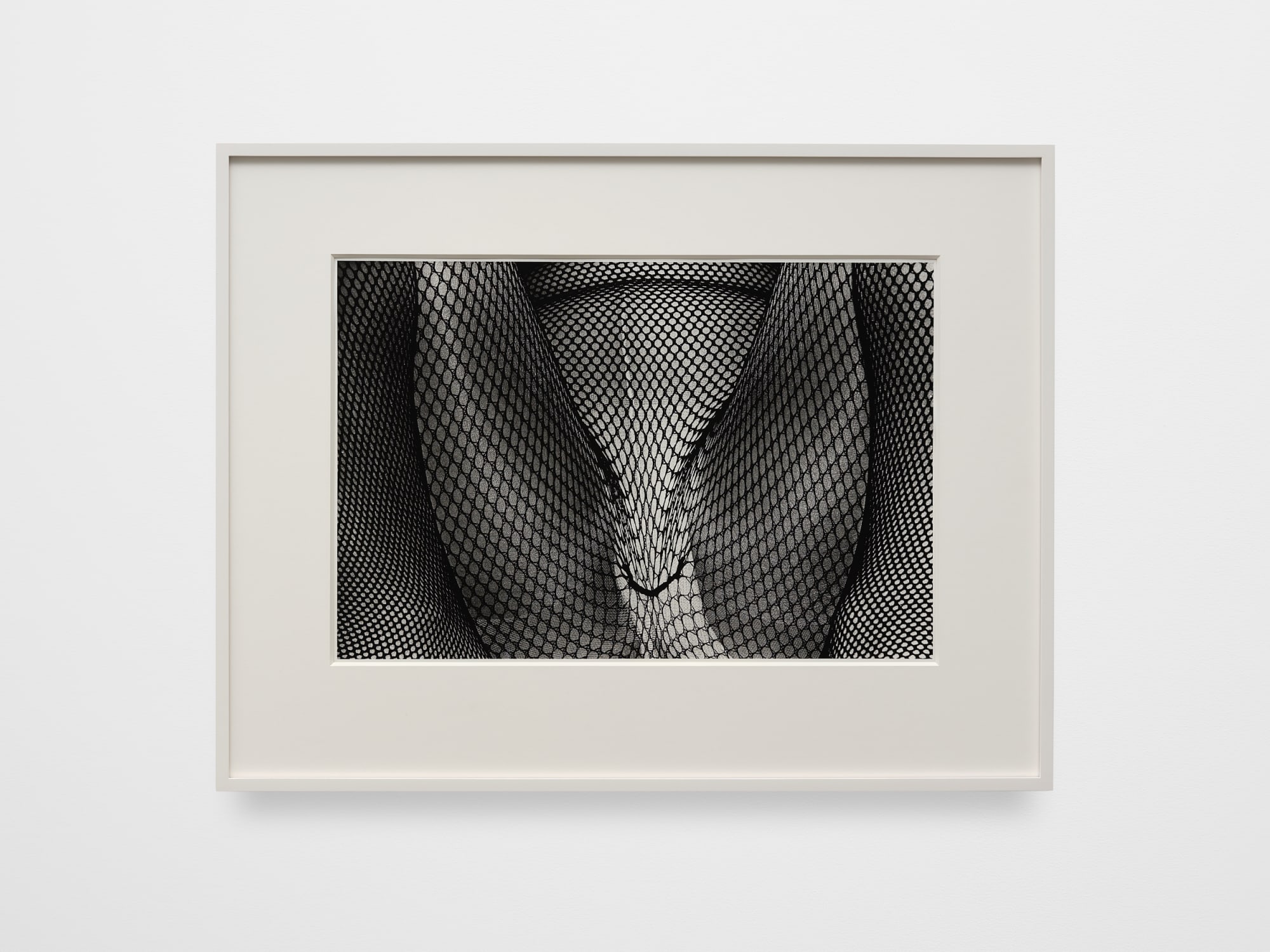 Daido Moriyama: Dog and Man