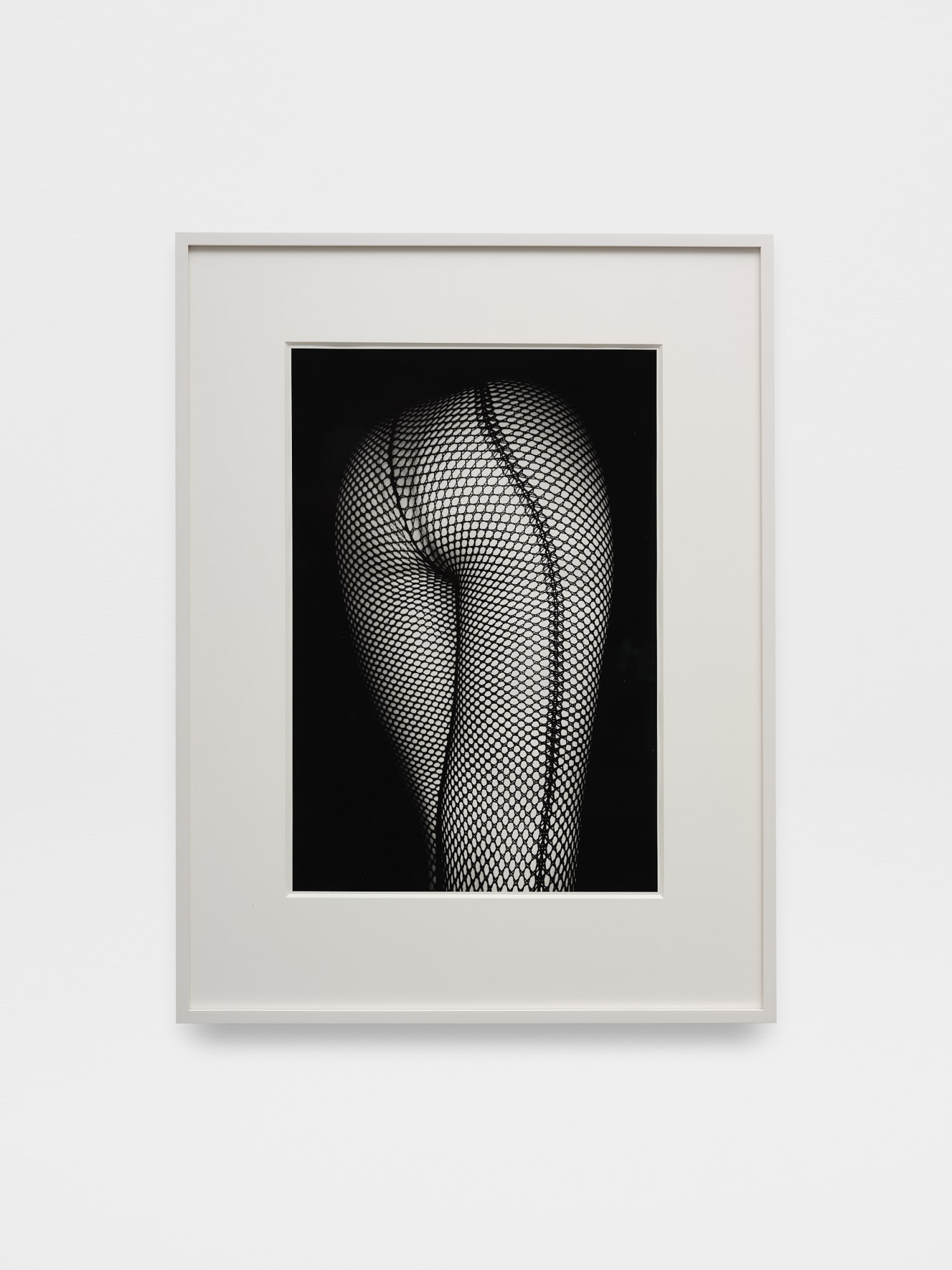 Daido Moriyama: Dog and Man