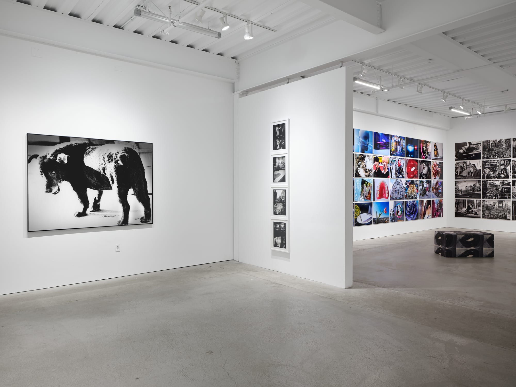 Daido Moriyama: Dog and Man