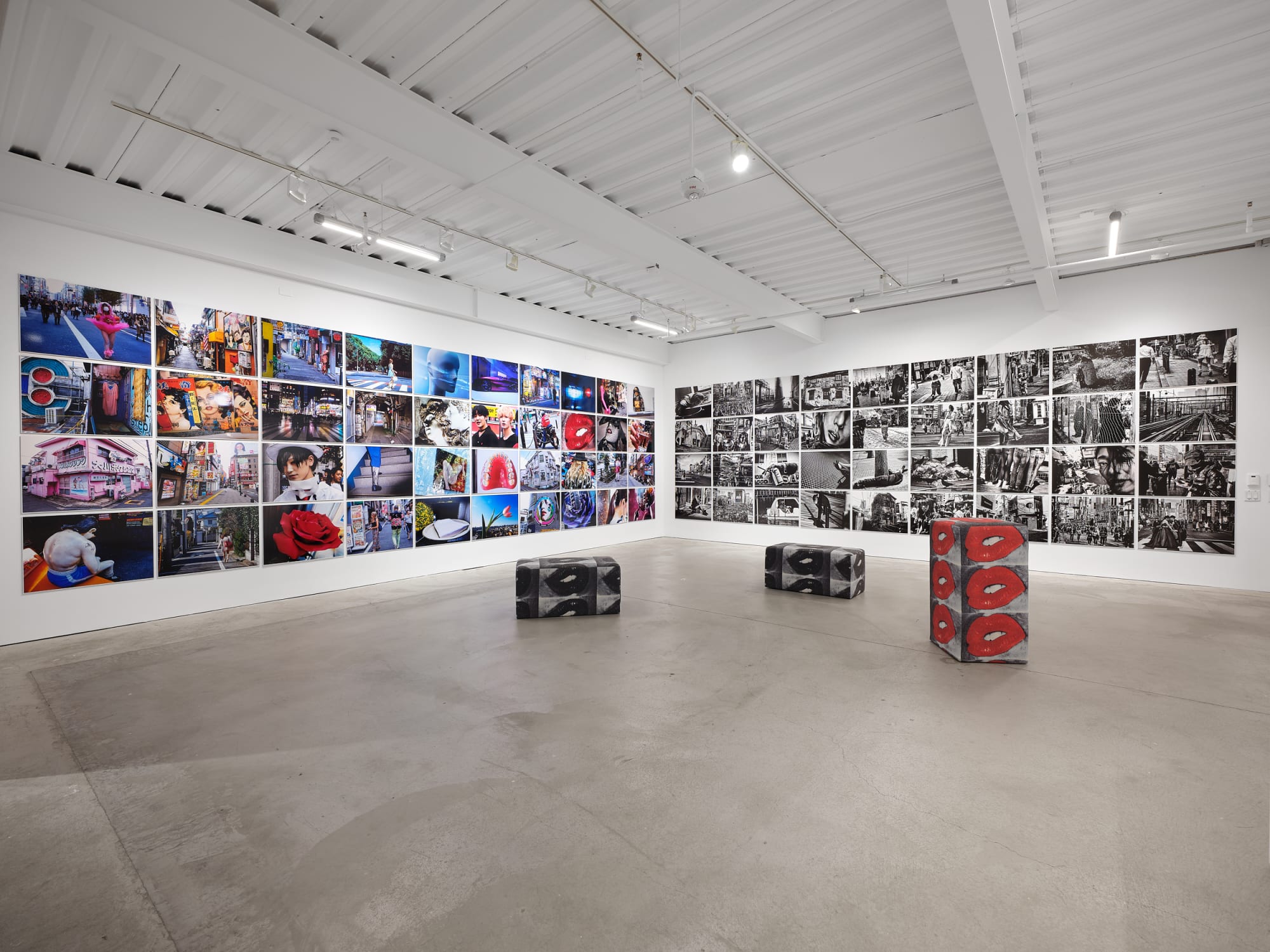 Daido Moriyama: Dog and Man