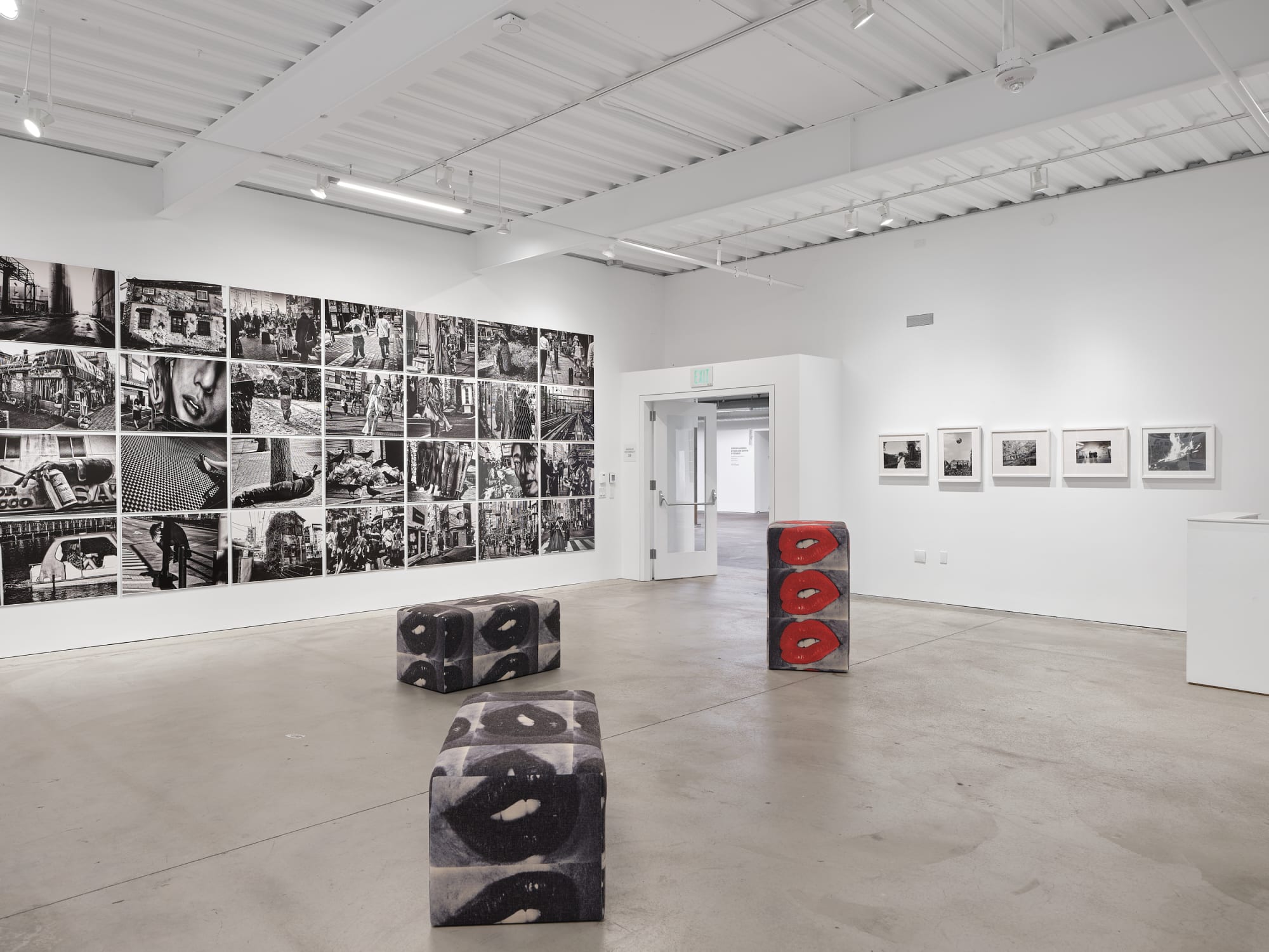 Daido Moriyama: Dog and Man