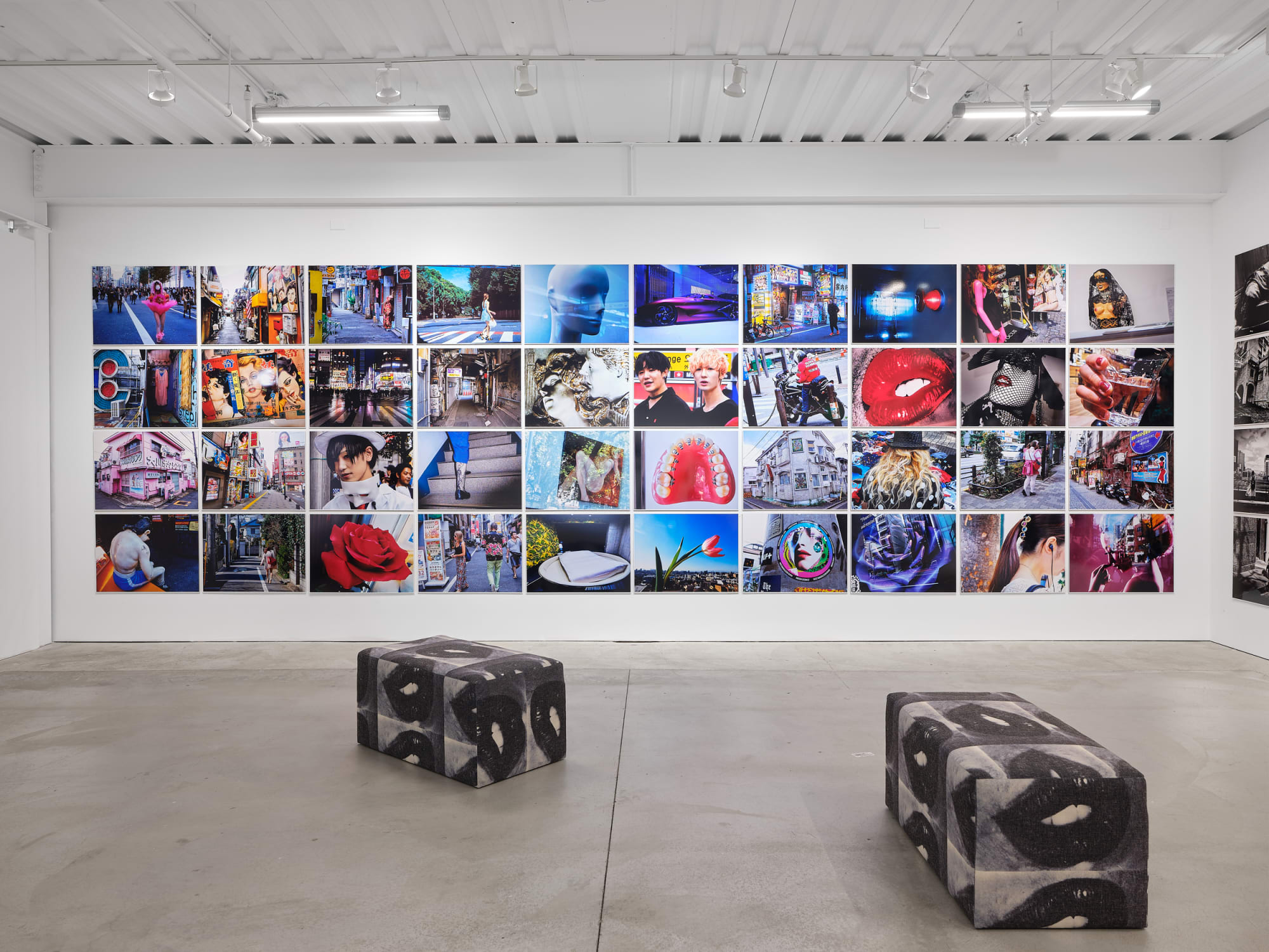 Daido Moriyama: Dog and Man