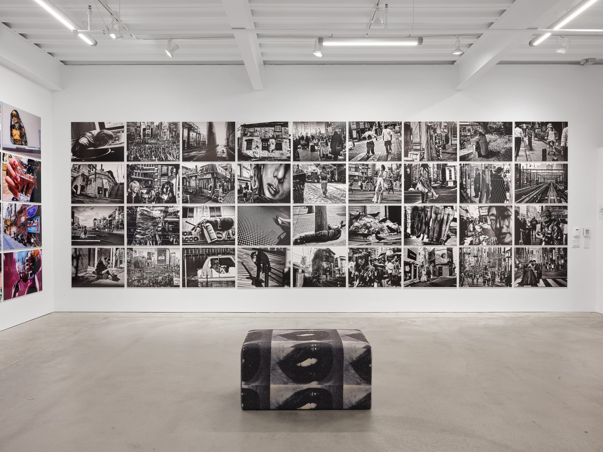 Daido Moriyama: Dog and Man