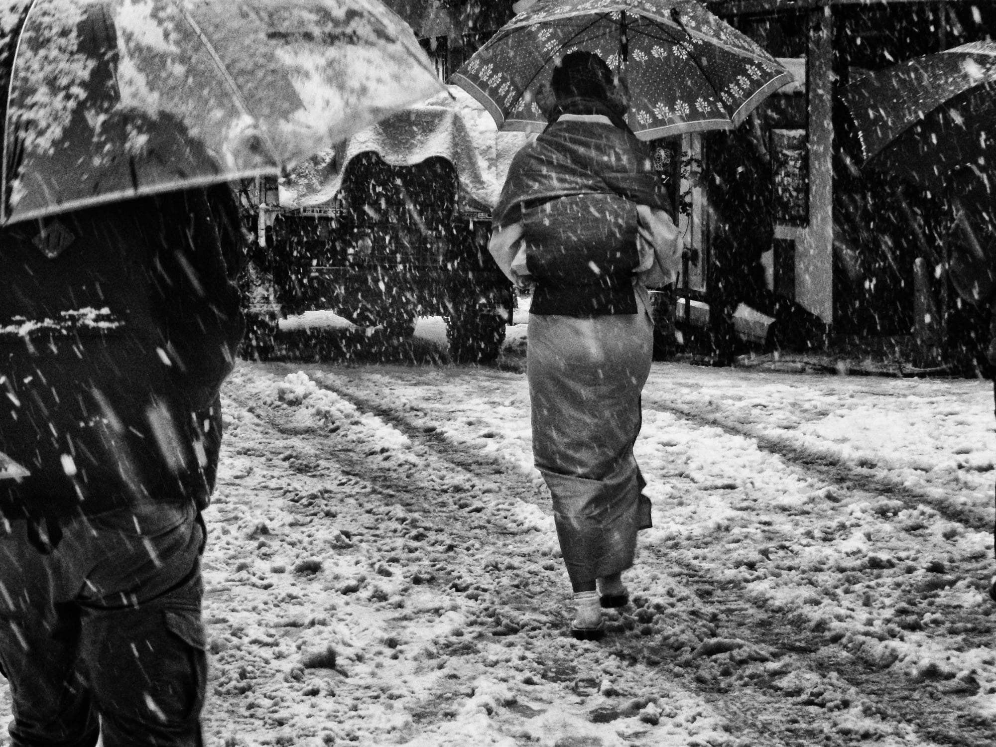 Daido Moriyama: Dog and Man