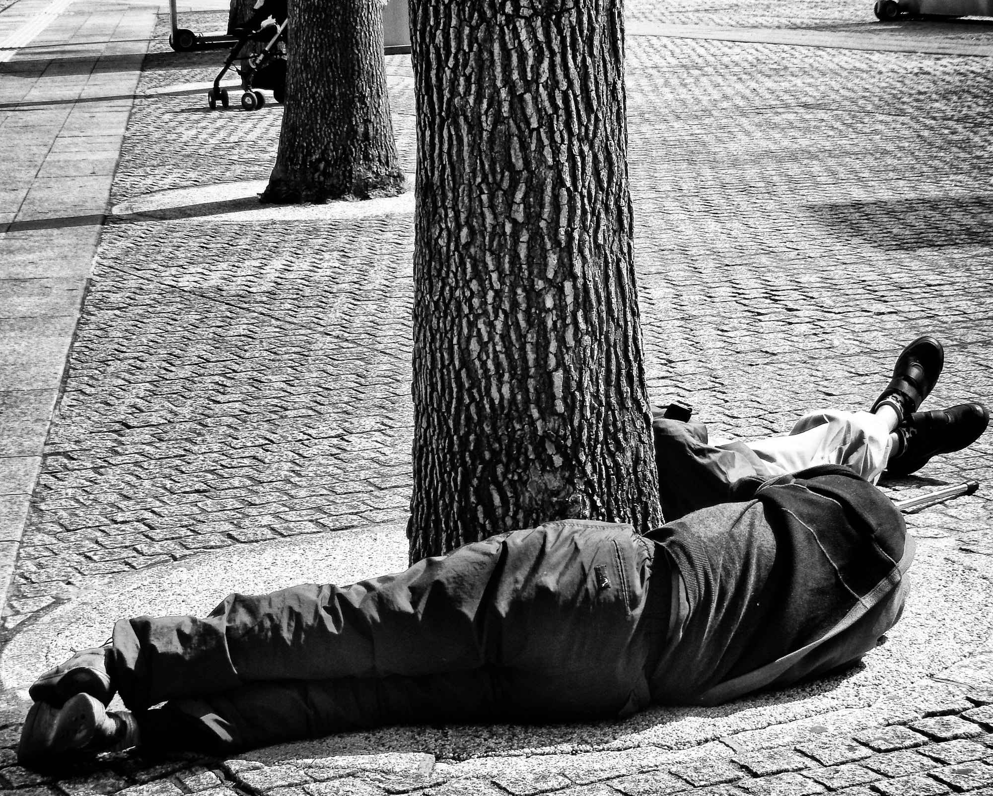 Daido Moriyama: Dog and Man