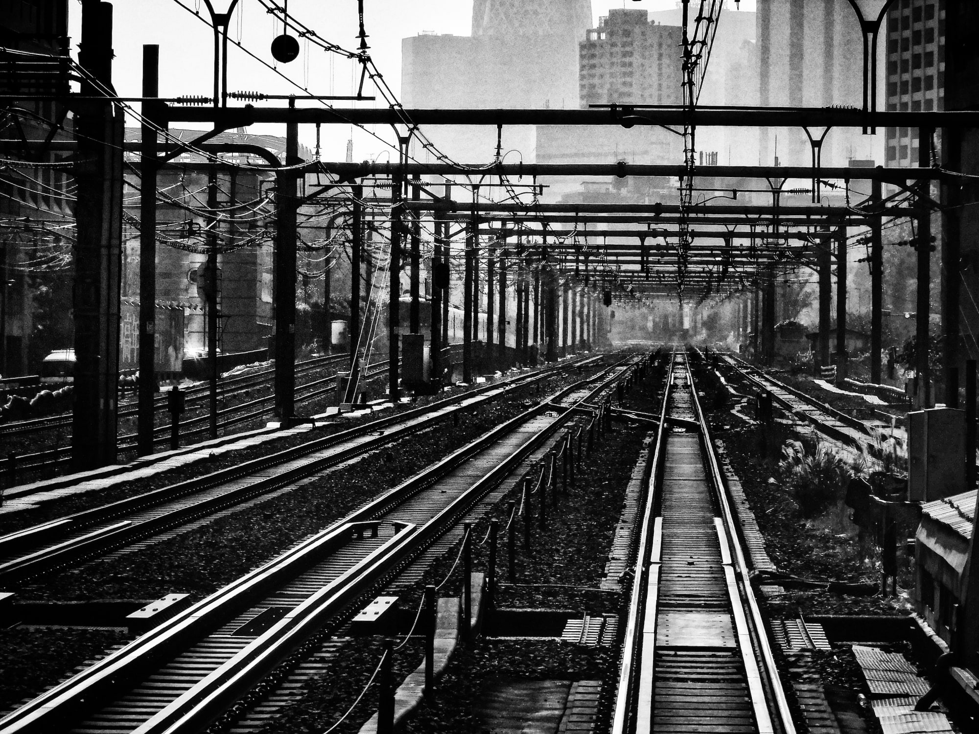 Daido Moriyama: Dog and Man