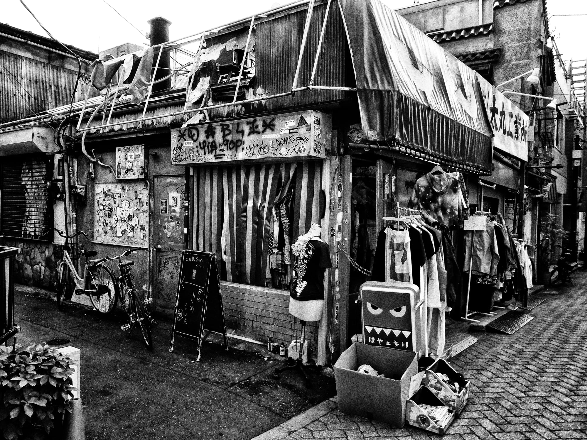 Daido Moriyama: Dog and Man