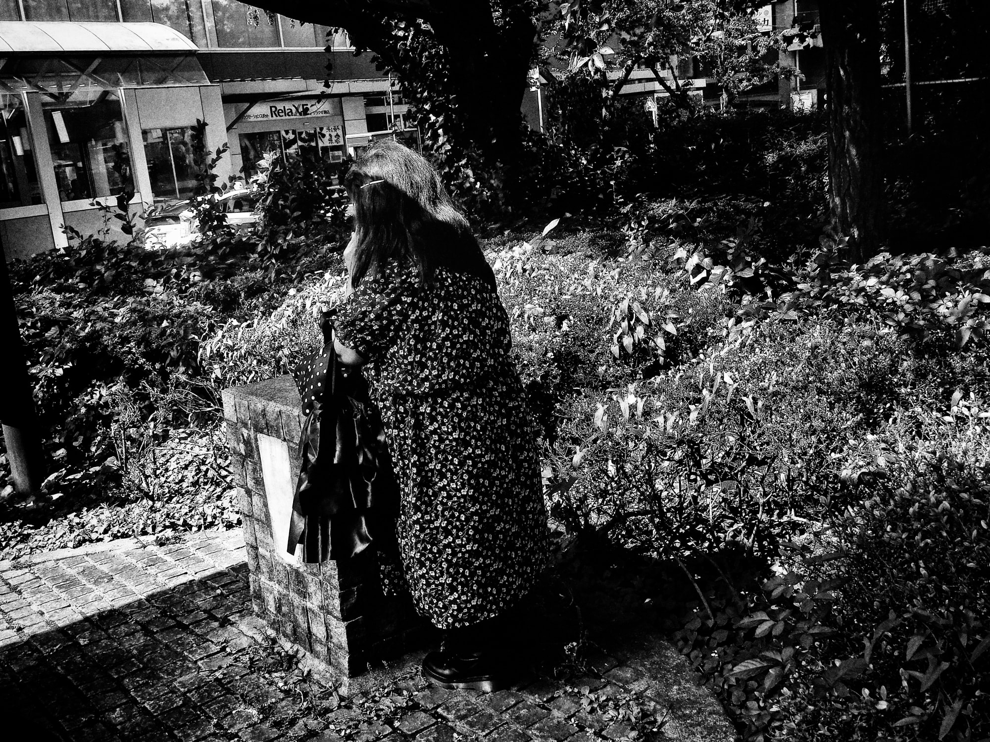 Daido Moriyama: Dog and Man