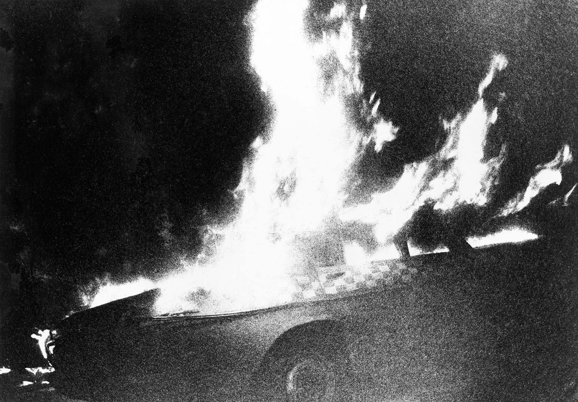 Daido Moriyama: Dog and Man