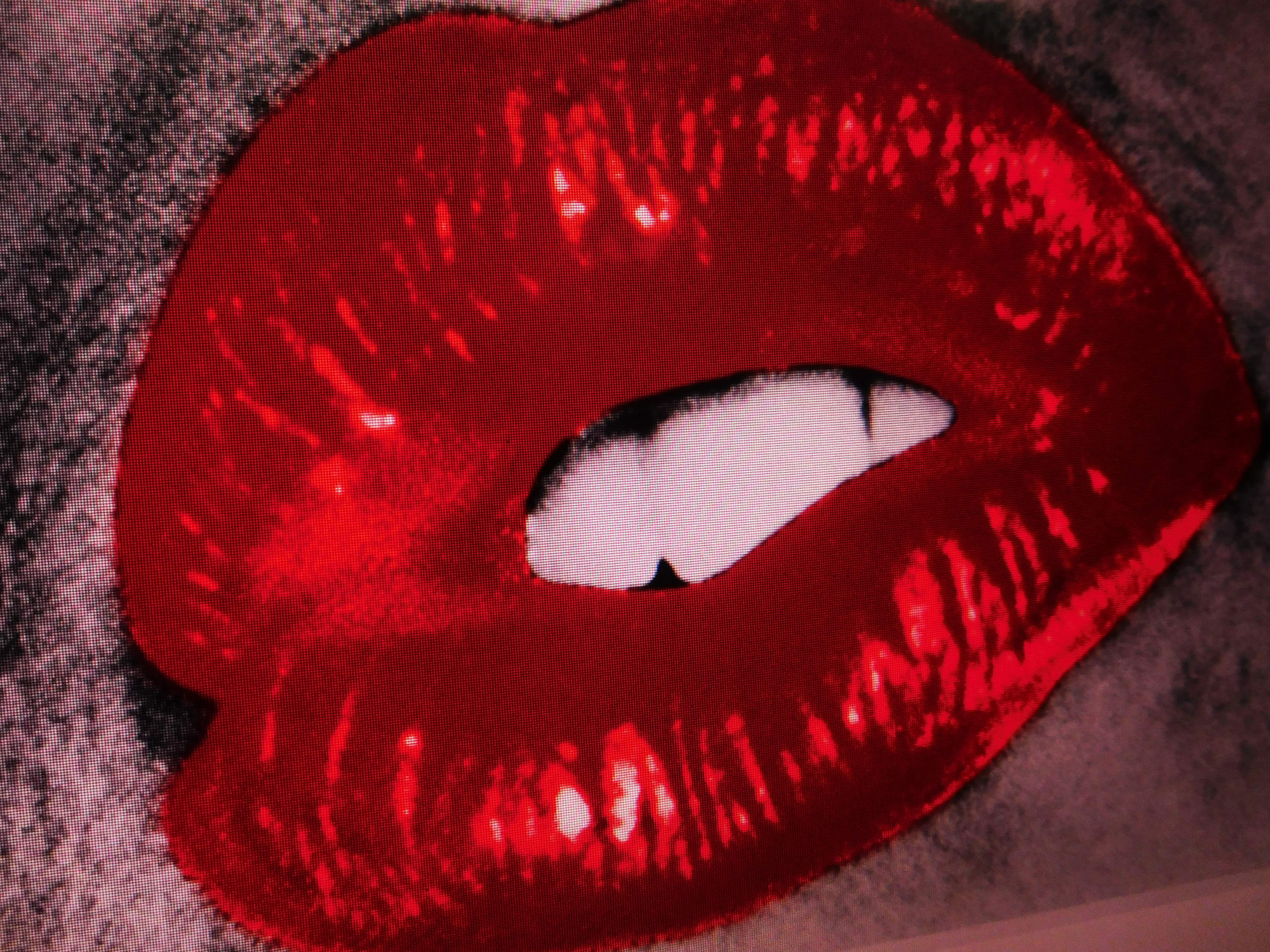 Daido Moriyama: Dog and Man