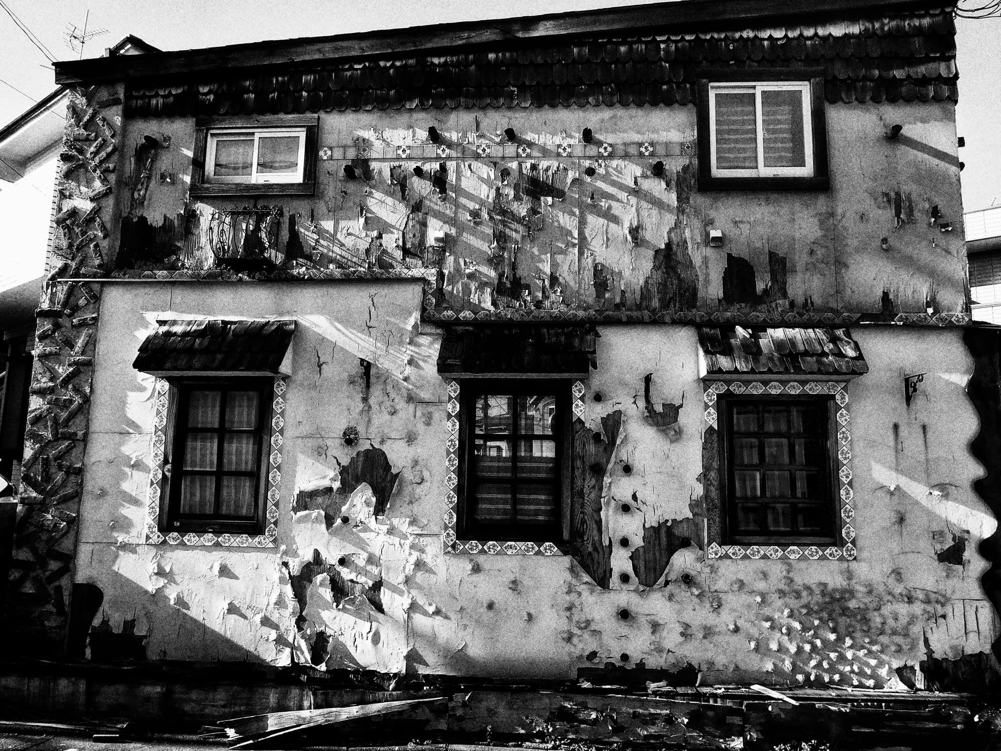 Daido Moriyama: Dog and Man