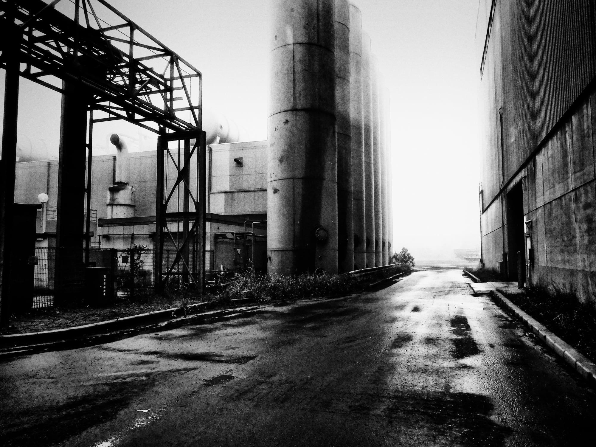 Daido Moriyama: Dog and Man