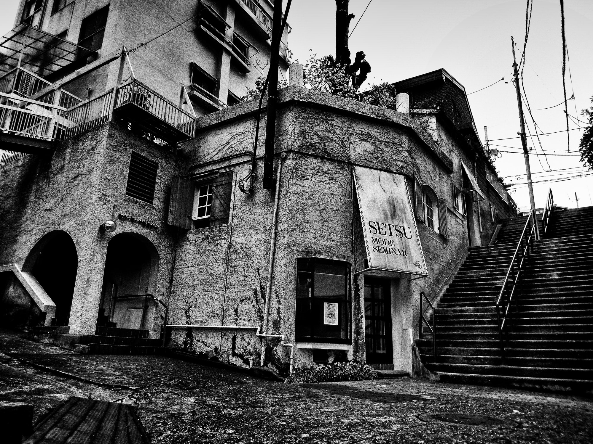 Daido Moriyama: Dog and Man