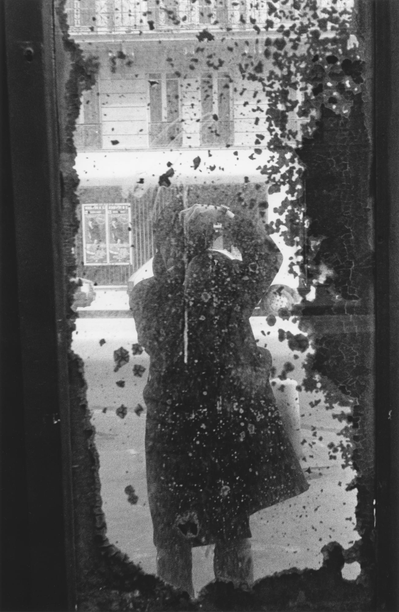 Daido Moriyama: Dog and Man