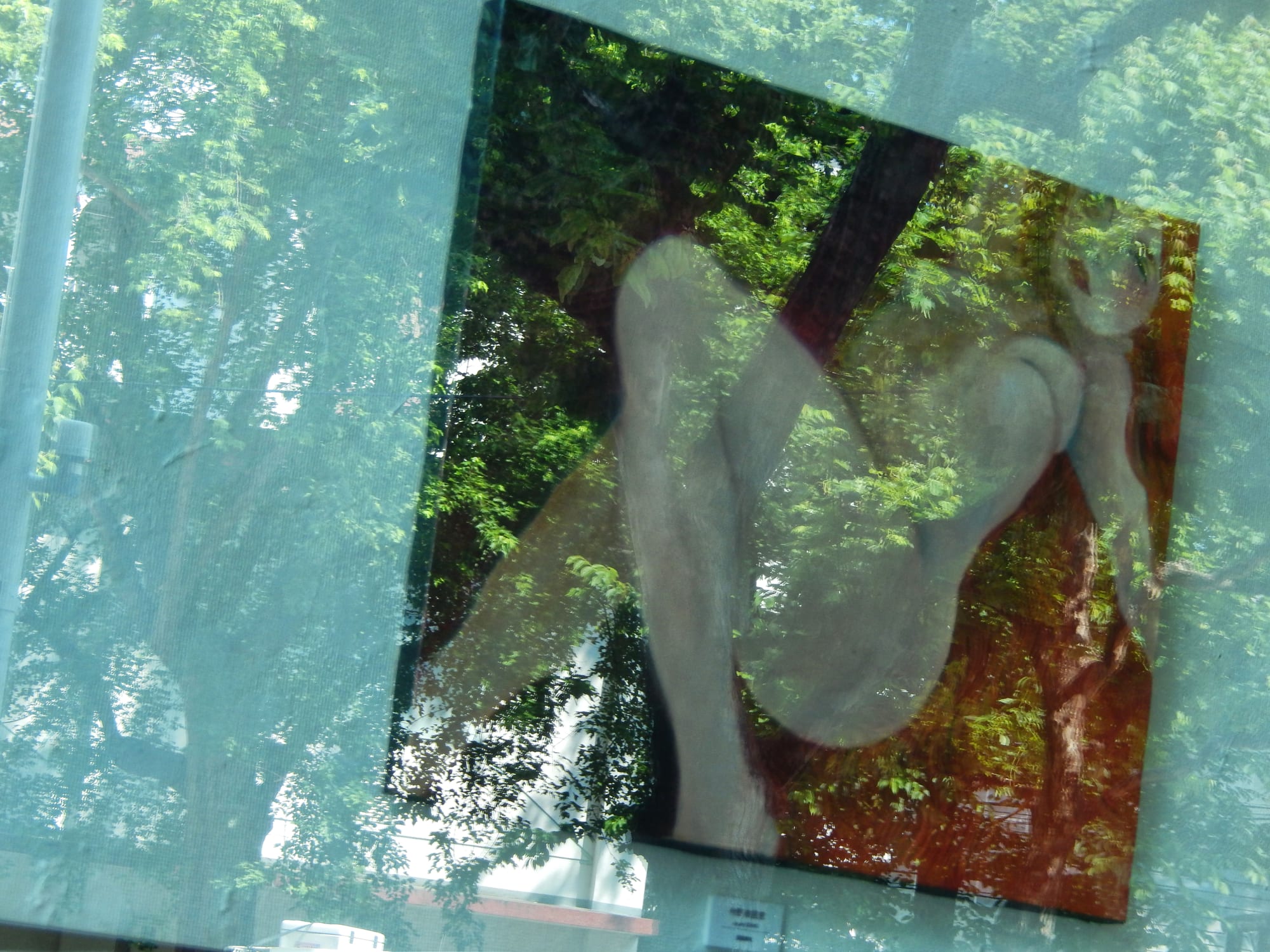 Daido Moriyama: Dog and Man