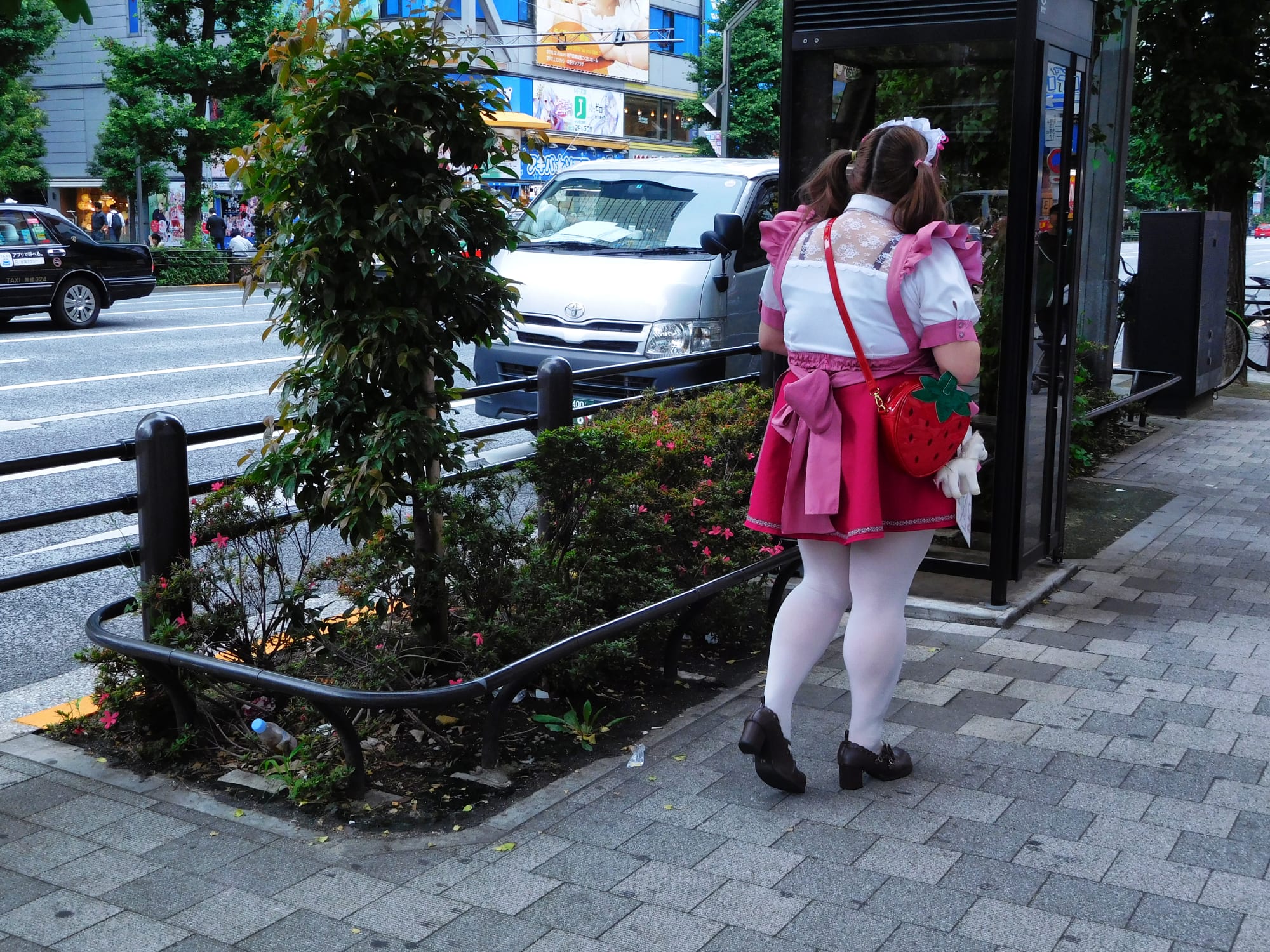 Daido Moriyama: Dog and Man