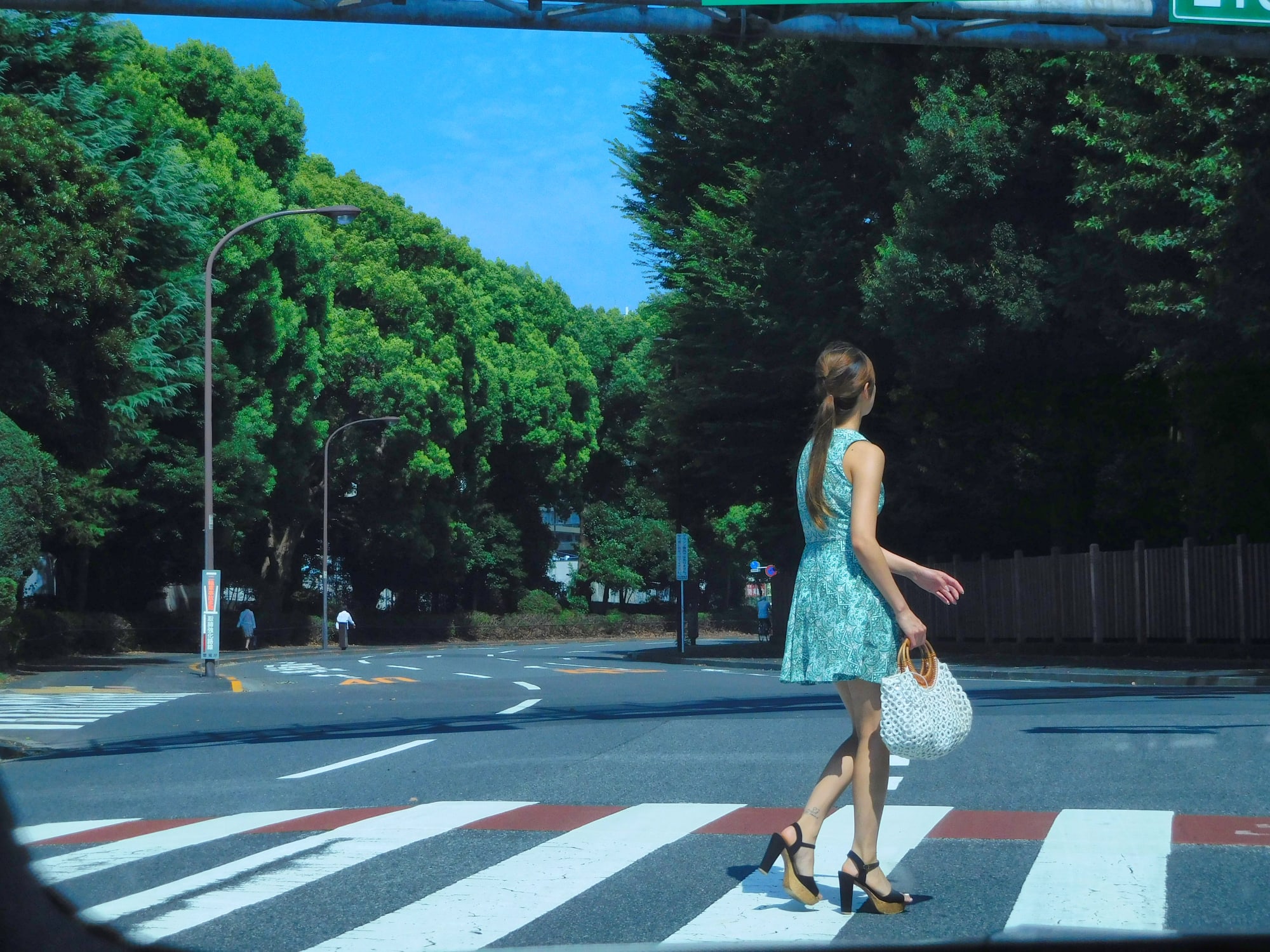 Daido Moriyama: Dog and Man