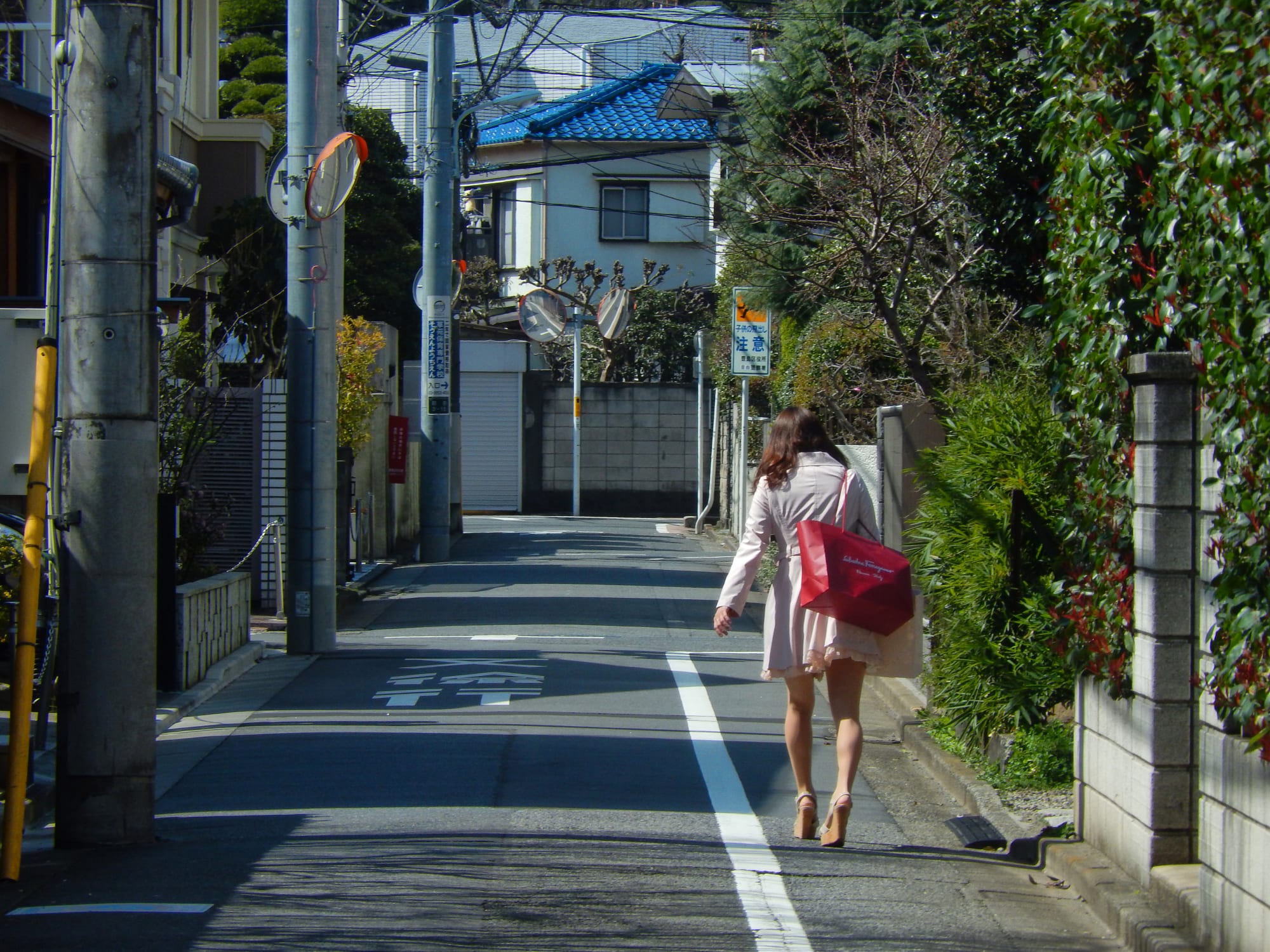 Daido Moriyama: Dog and Man