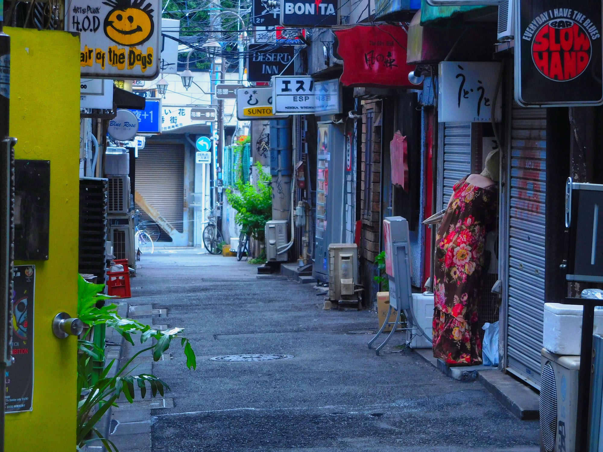 Daido Moriyama: Dog and Man