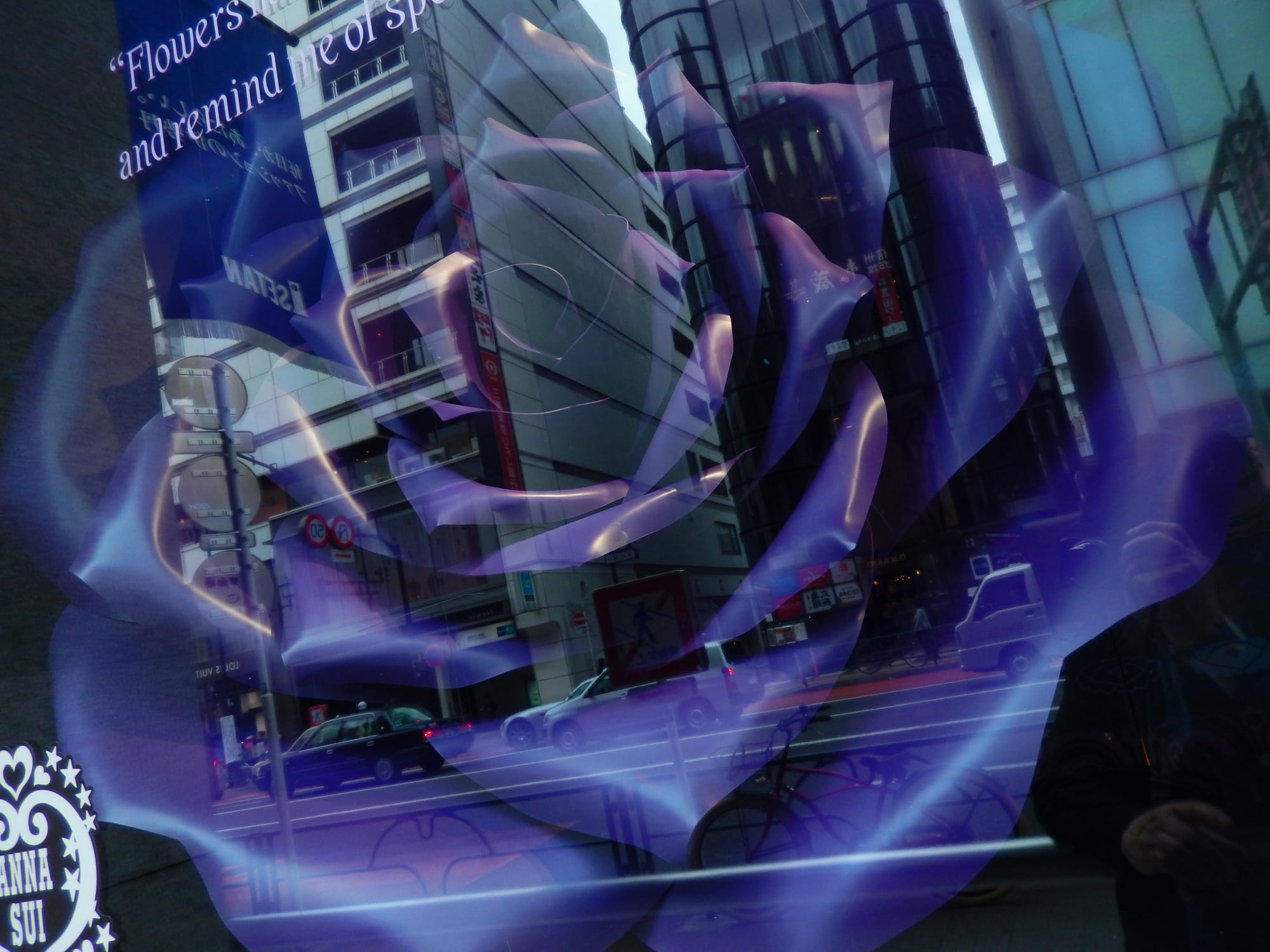 Daido Moriyama: Dog and Man