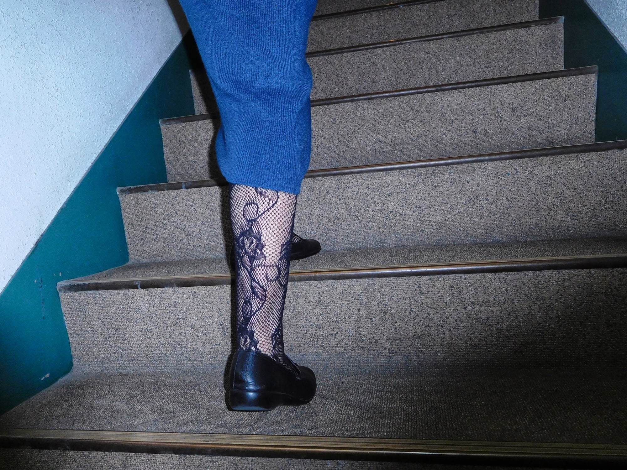 Daido Moriyama: Dog and Man