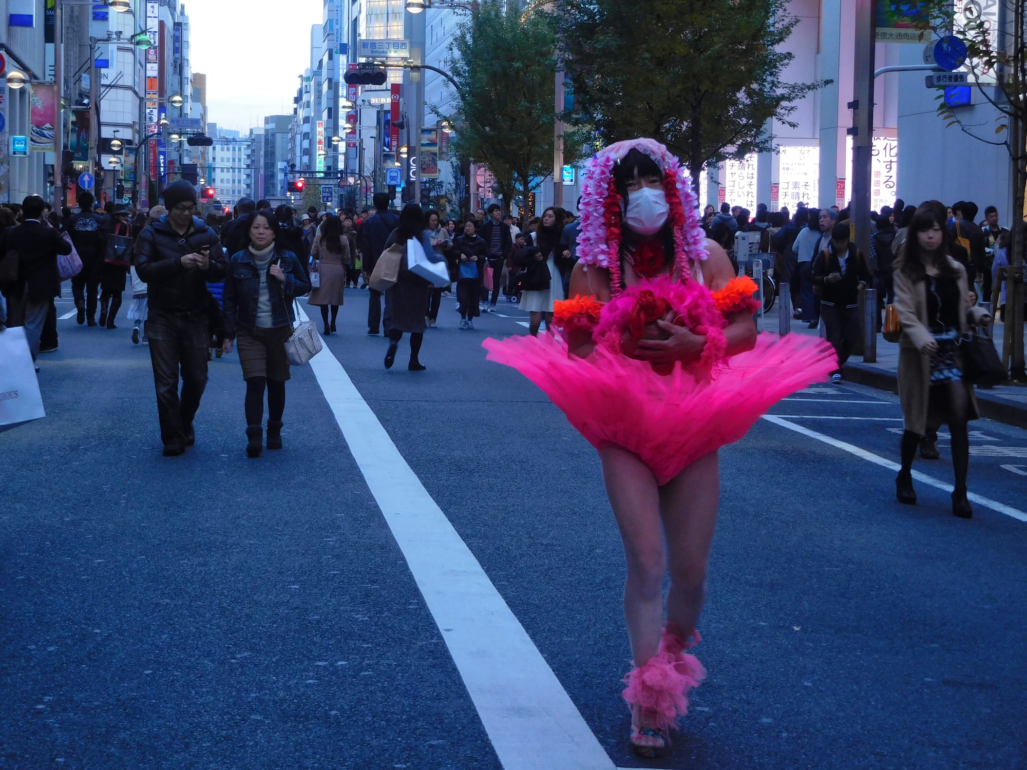 Daido Moriyama: Dog and Man