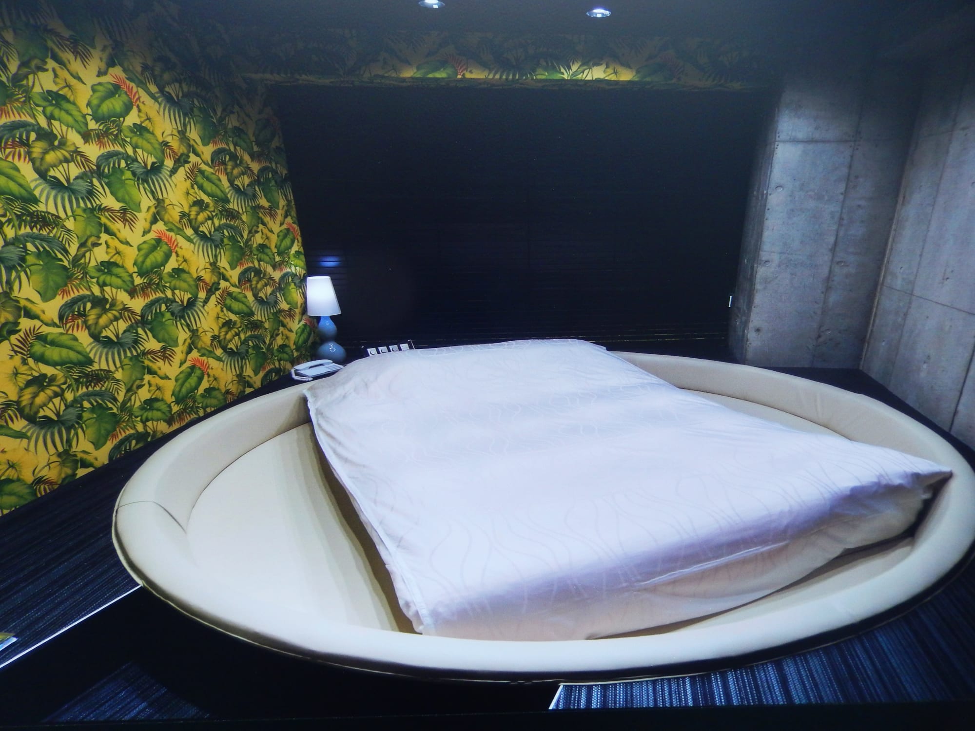 Daido Moriyama: Dog and Man