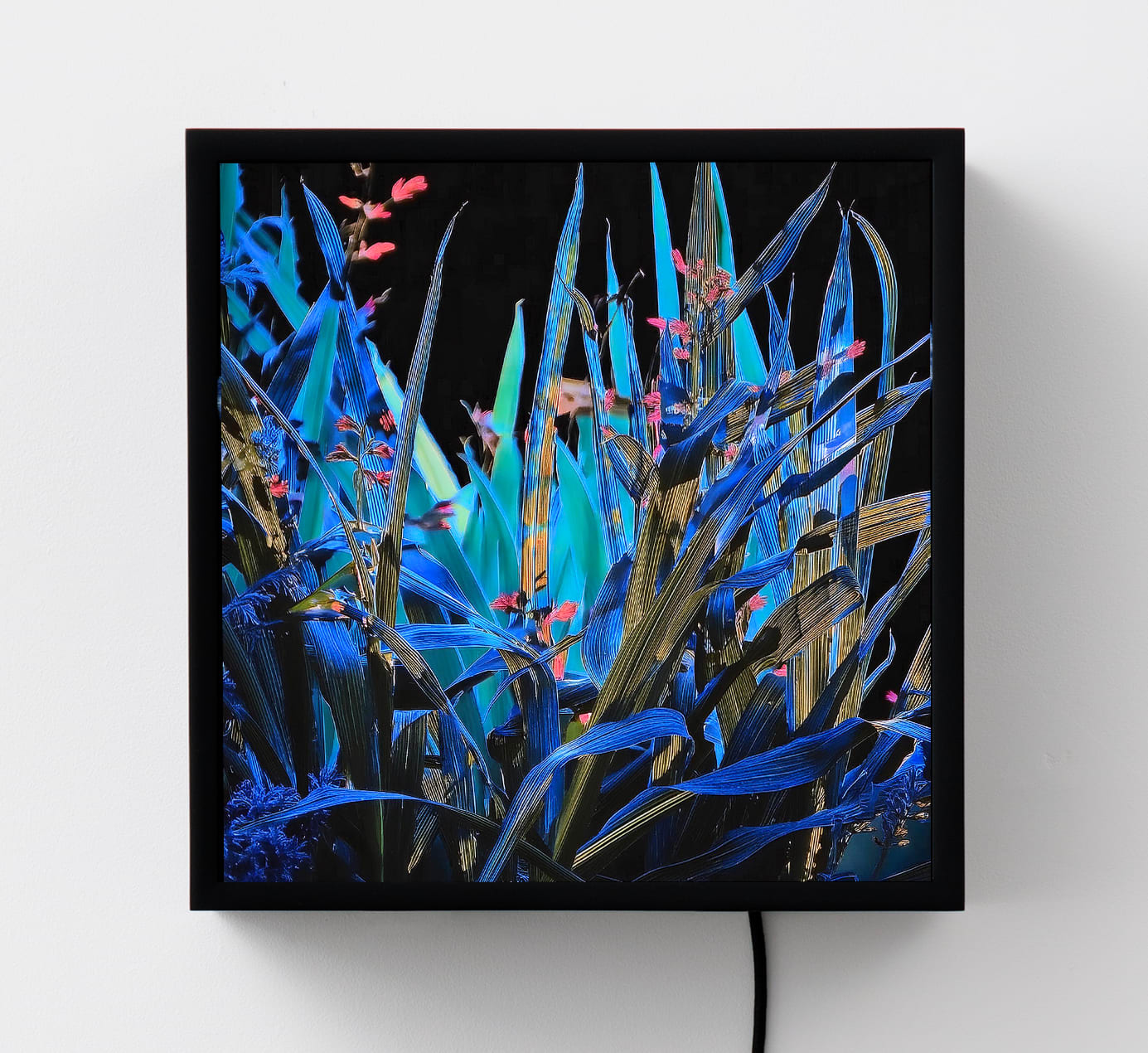 Surface / Signal : Owen Kydd and Kyle Tata