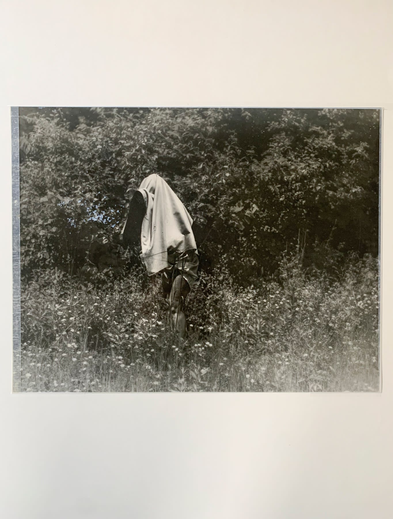 Raymond Meeks Givenness 4089, 2022 Silver halide Transparency 12 x 15.5 inches