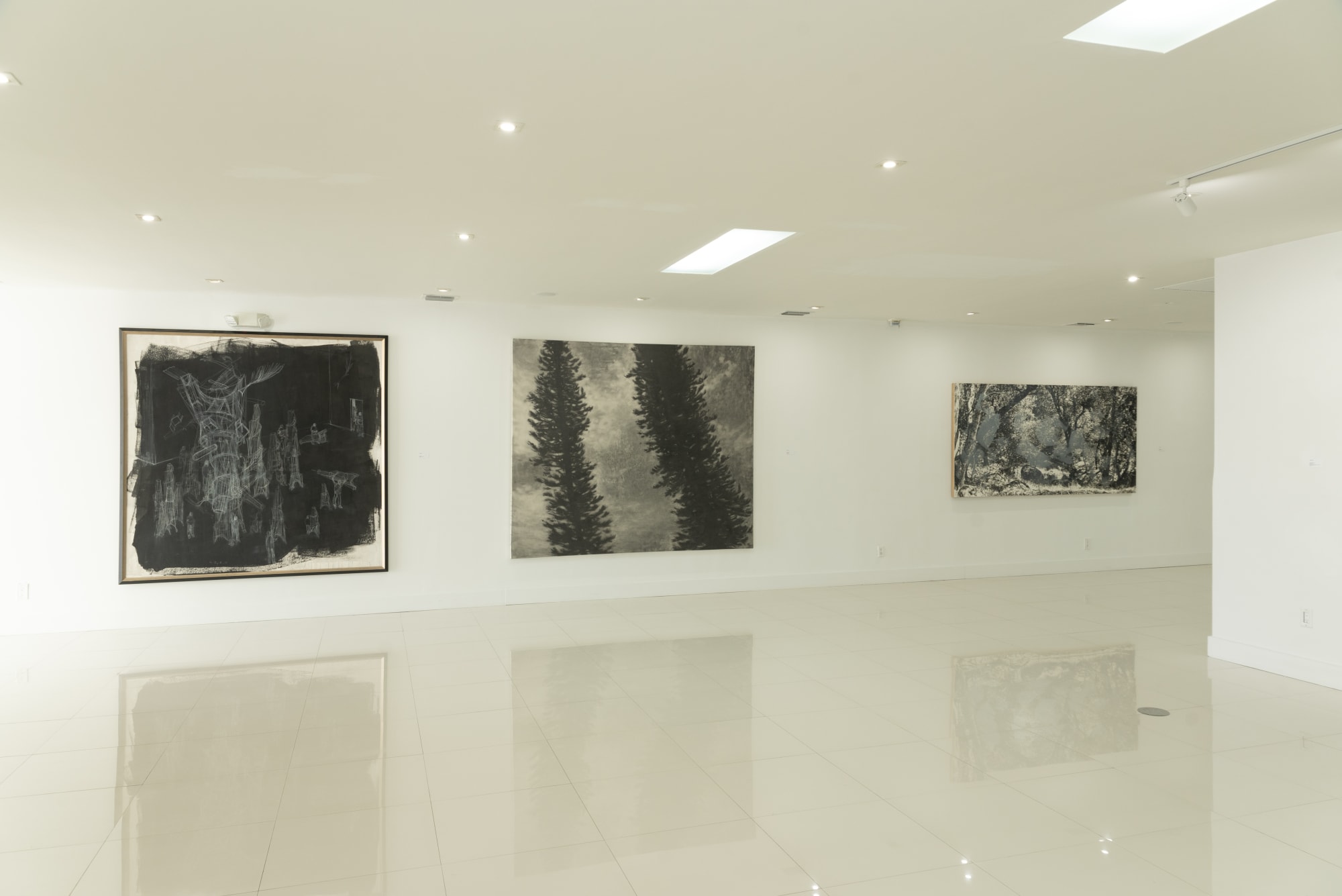 ¿Y esa luz? Es tu sombra - A Symphony of Lights and Shadows