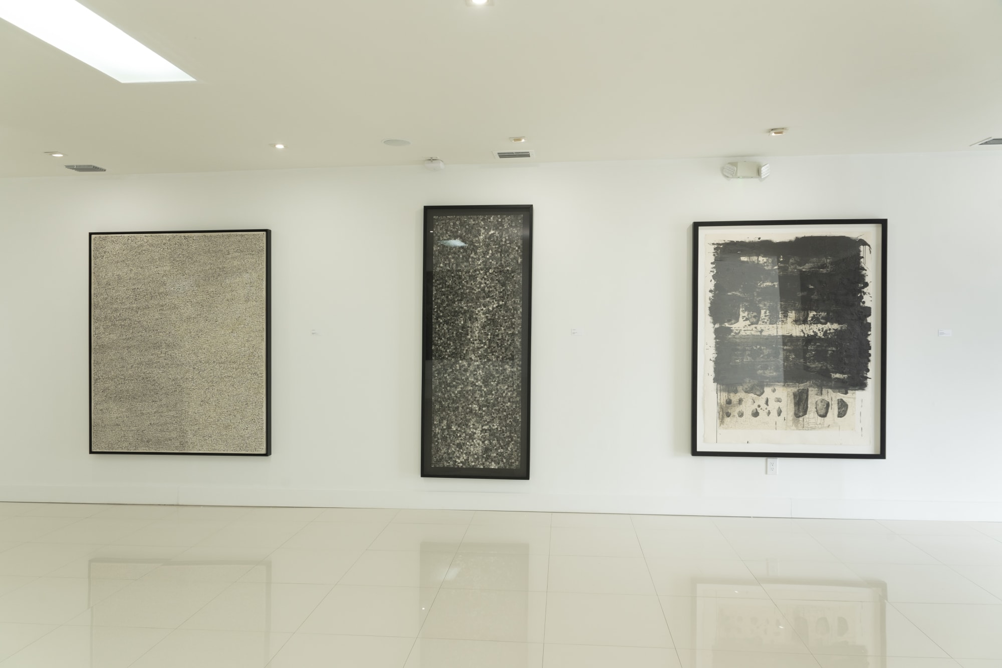 ¿Y esa luz? Es tu sombra - A Symphony of Lights and Shadows