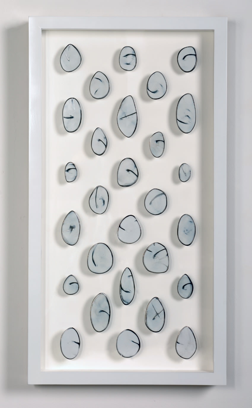 Whites in a Long Box, 2005