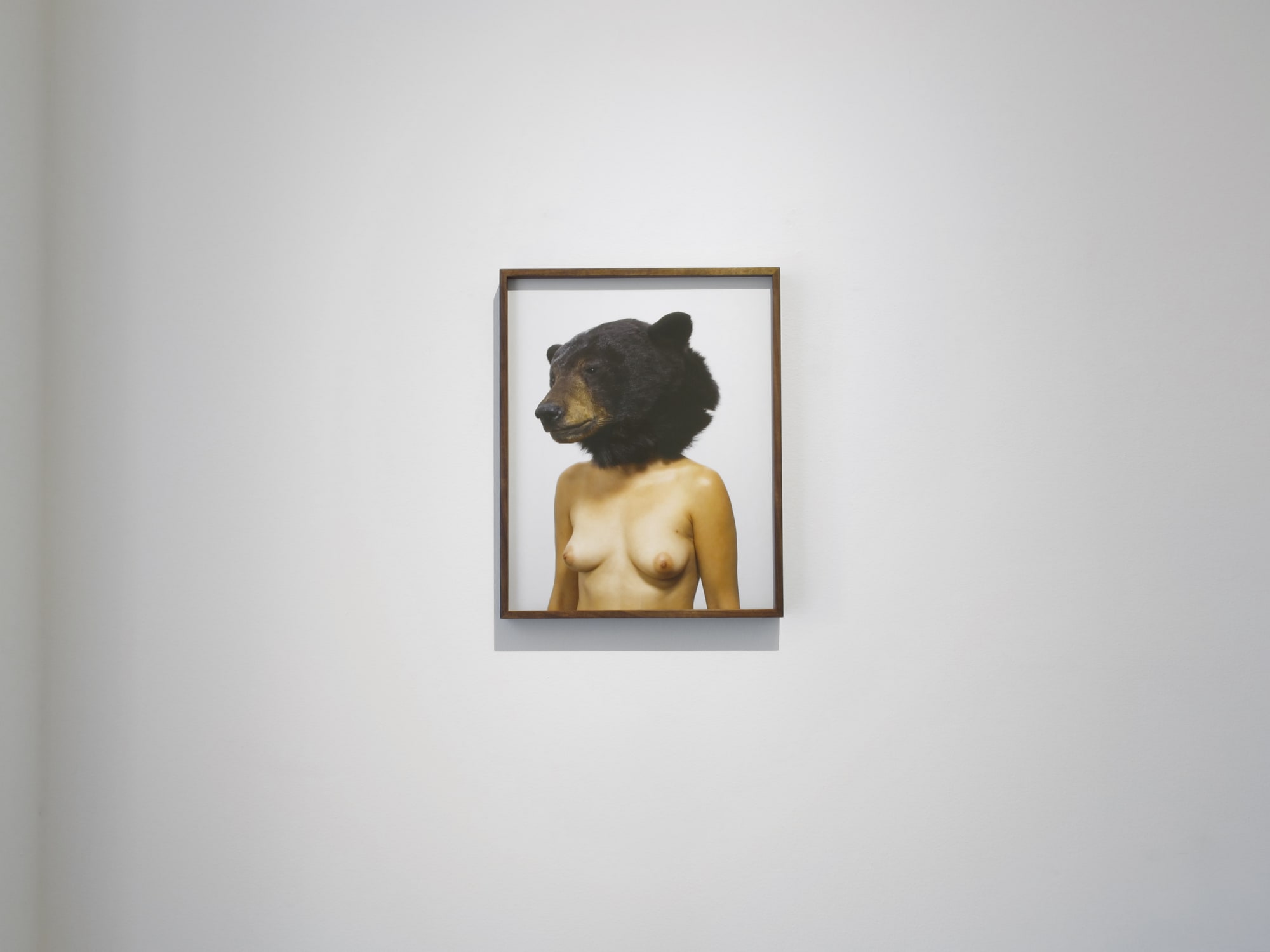 Carlee Fernandez: Arranging Family