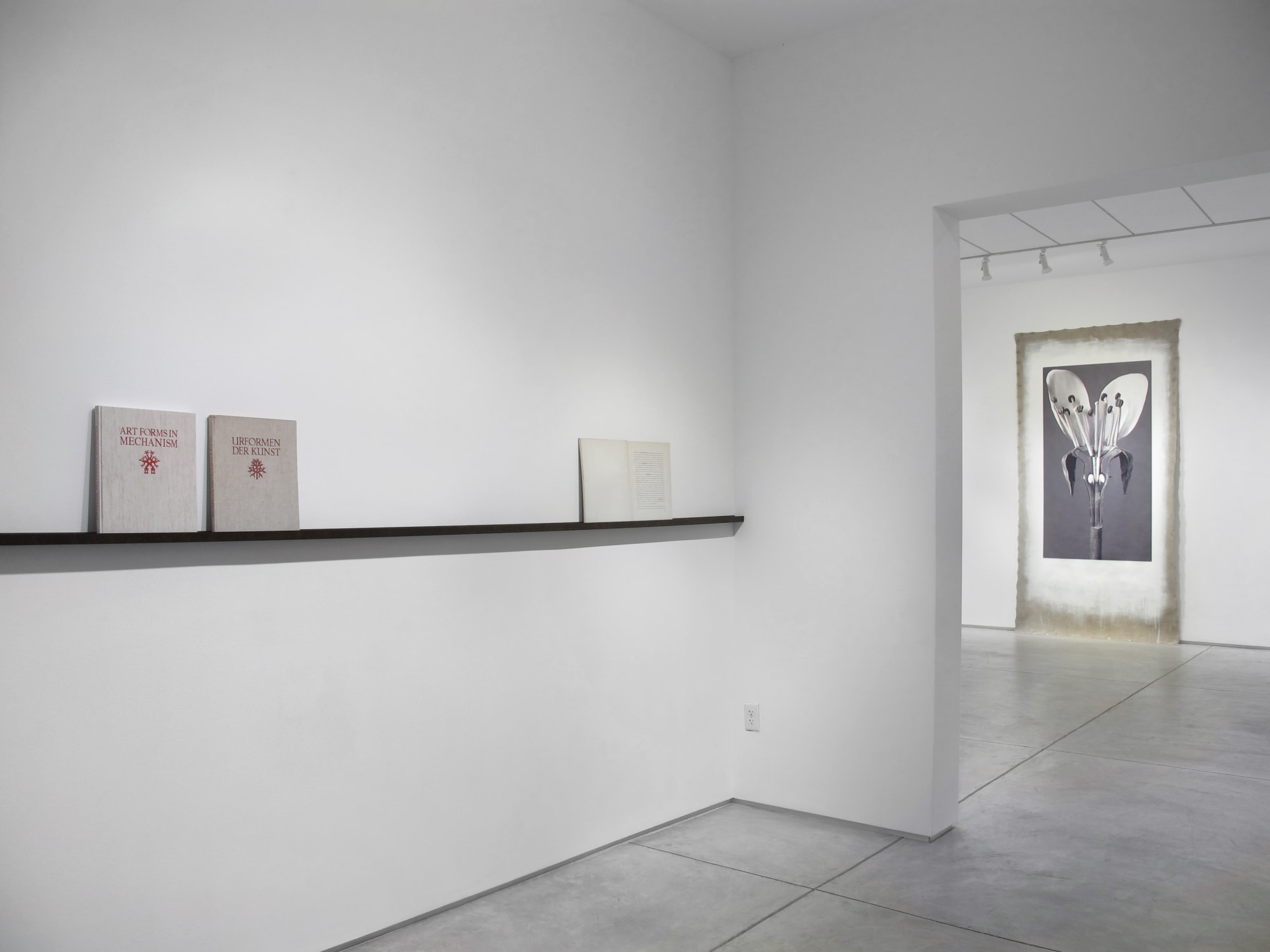 Linarejos Moreno: Art Forms in Mechanism